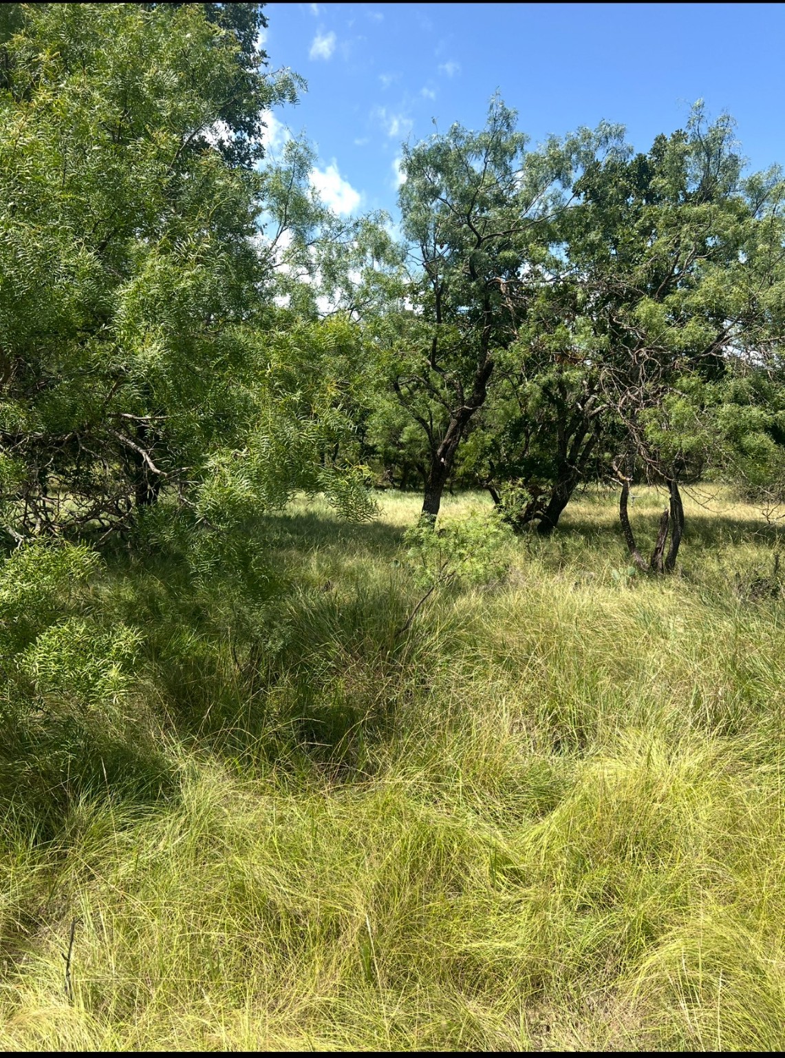 Lot 591 S Lakeside Drive May TX 76857
