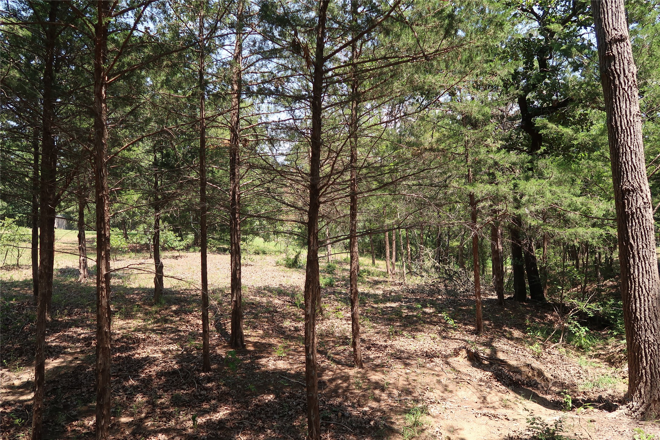 Tbd Johnson Road Denison TX 75021
