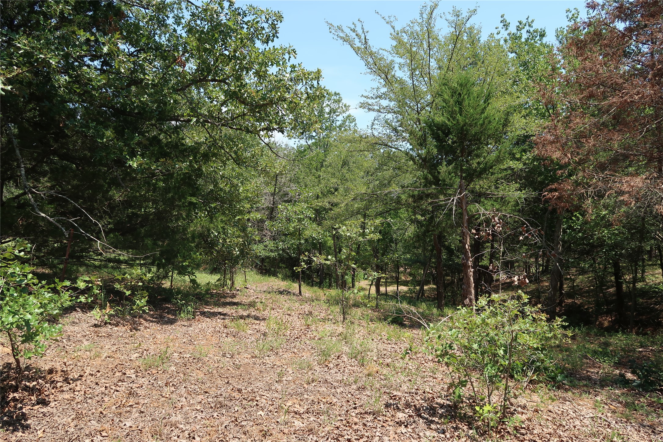 Tbd Johnson Road Denison TX 75021