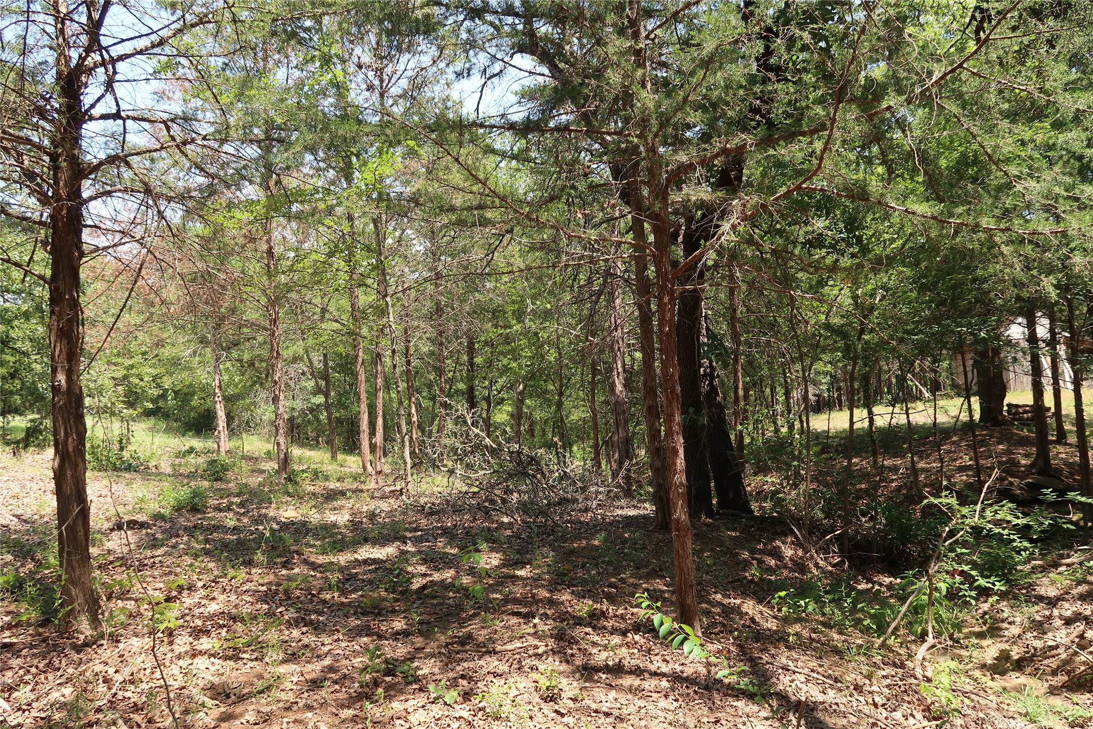 Tbd Johnson Road Denison TX 75021