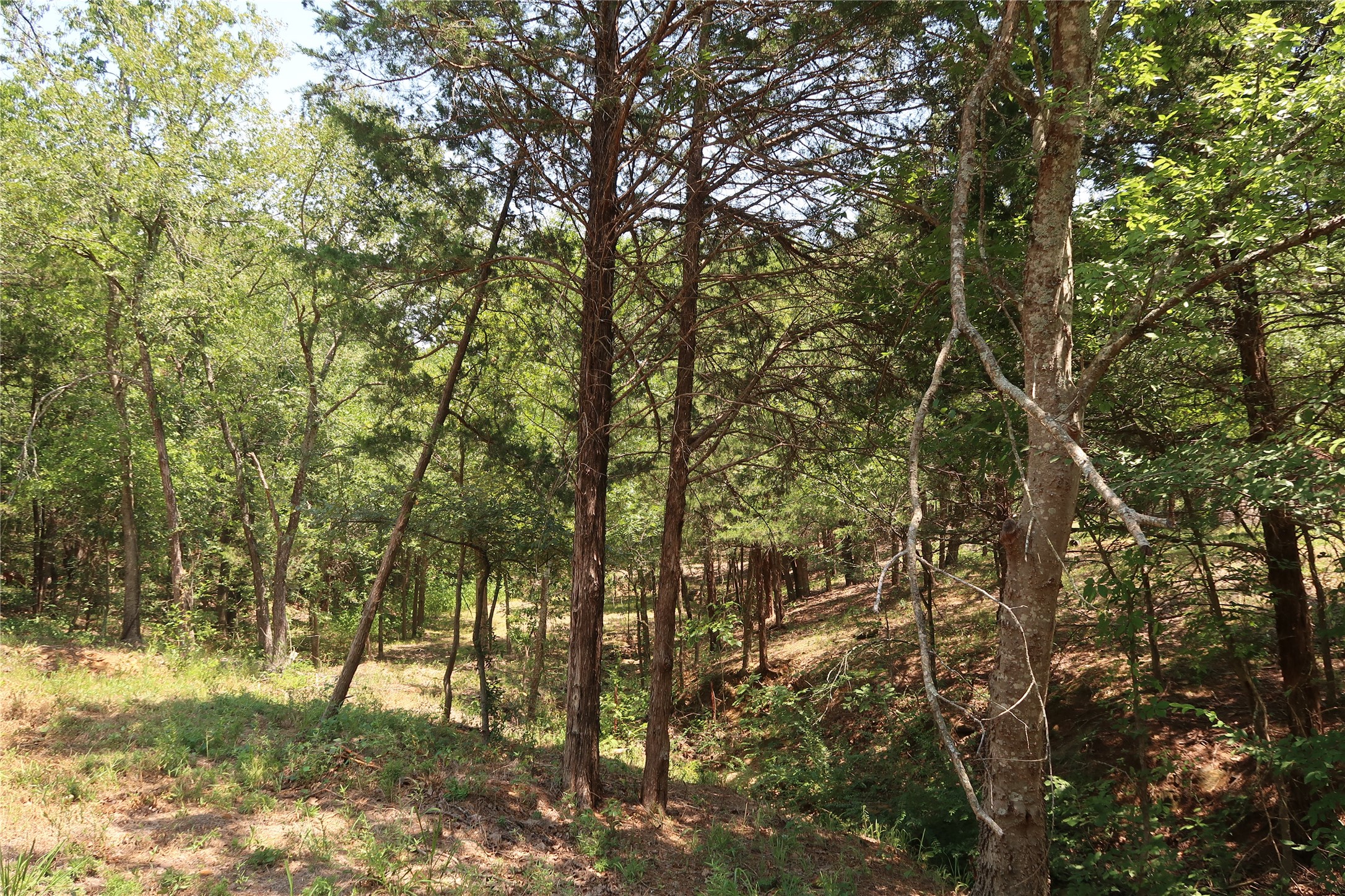 Tbd Johnson Road Denison TX 75021