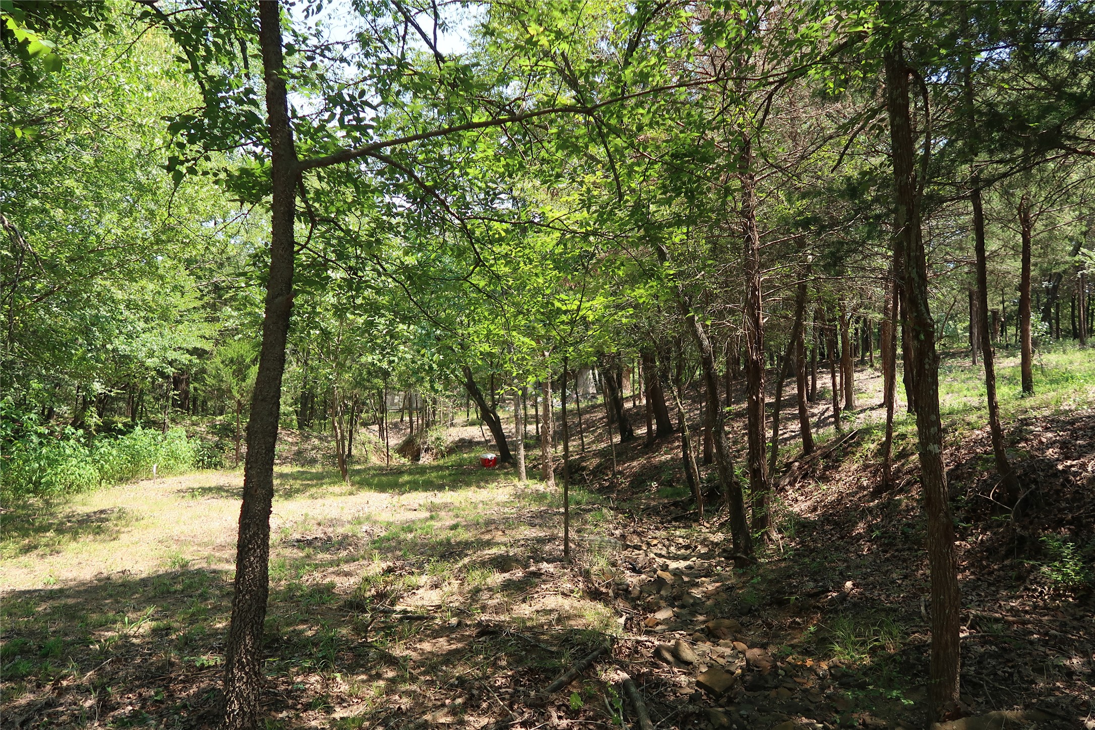 Tbd Johnson Road Denison TX 75021