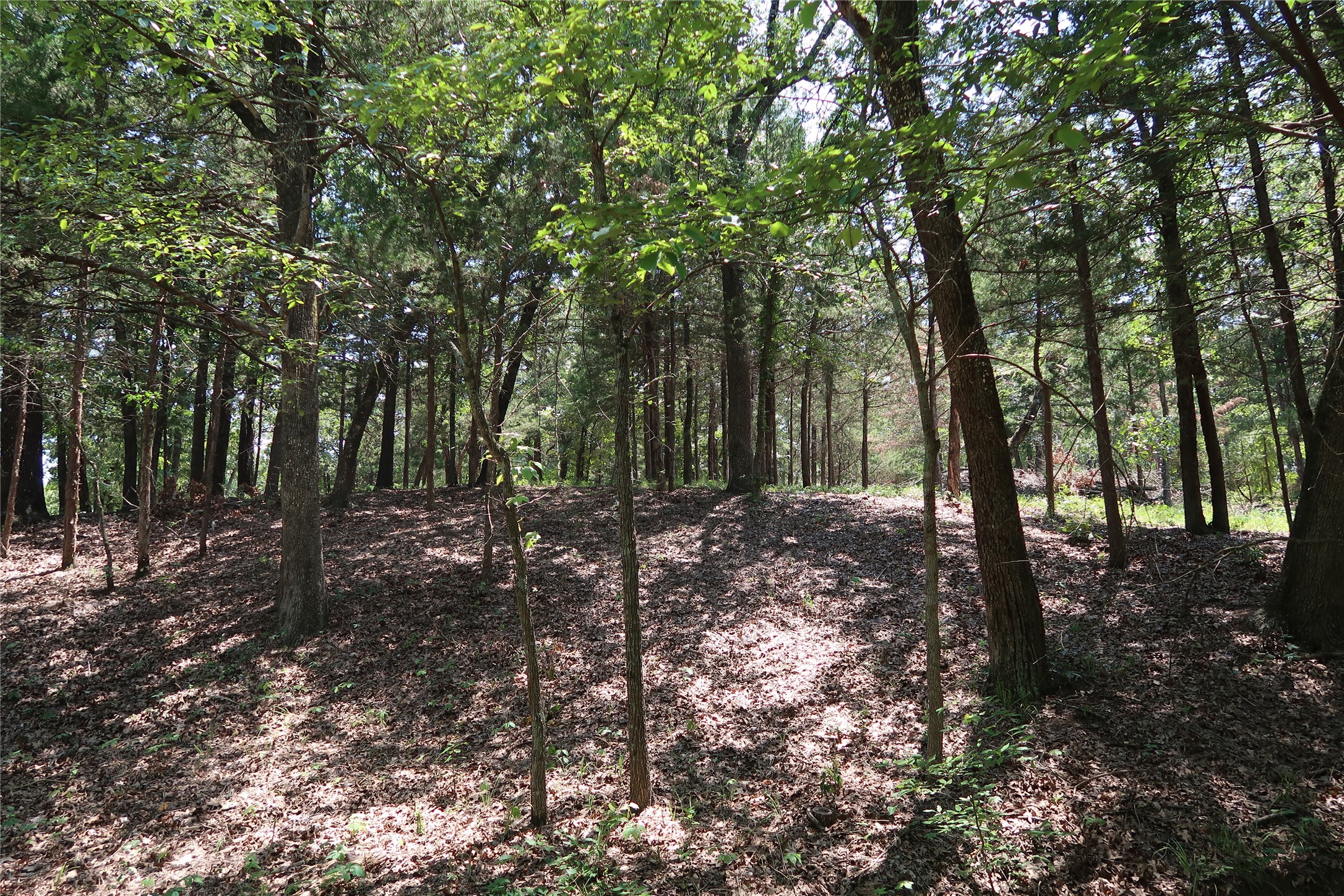 Tbd Johnson Road Denison TX 75021