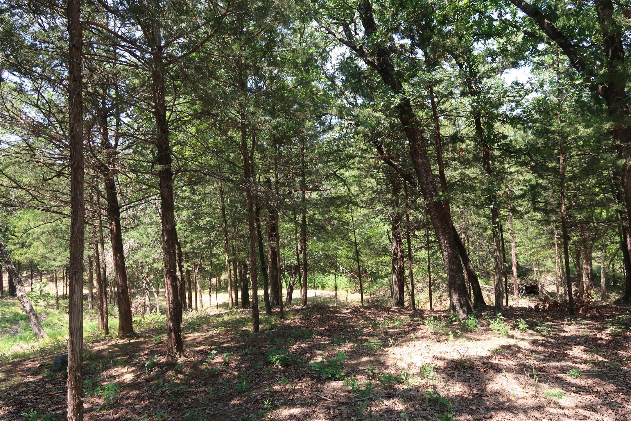 Tbd Johnson Road Denison TX 75021