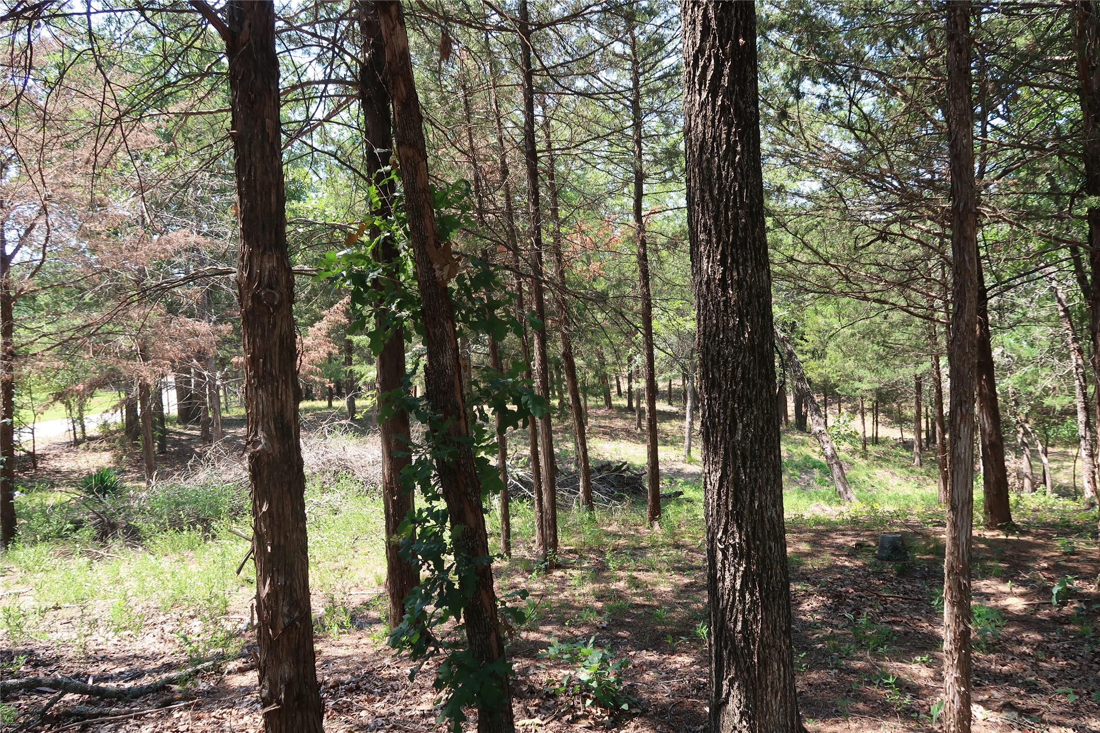 Tbd Johnson Road Denison TX 75021