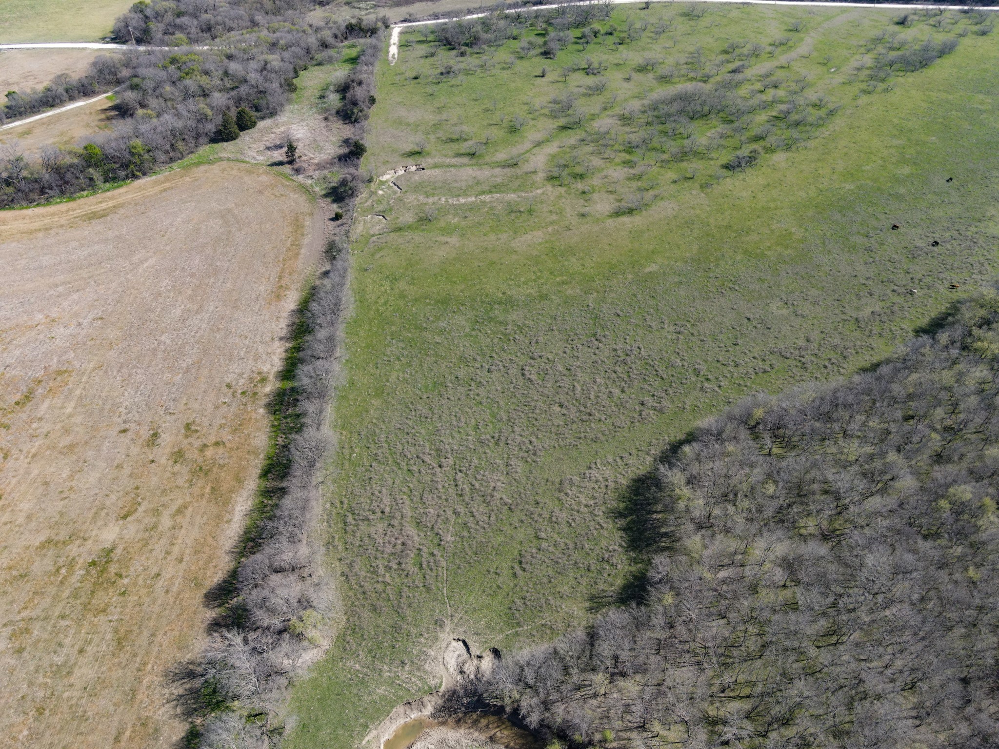 647 Hcr-4411 Grandview TX 76050
