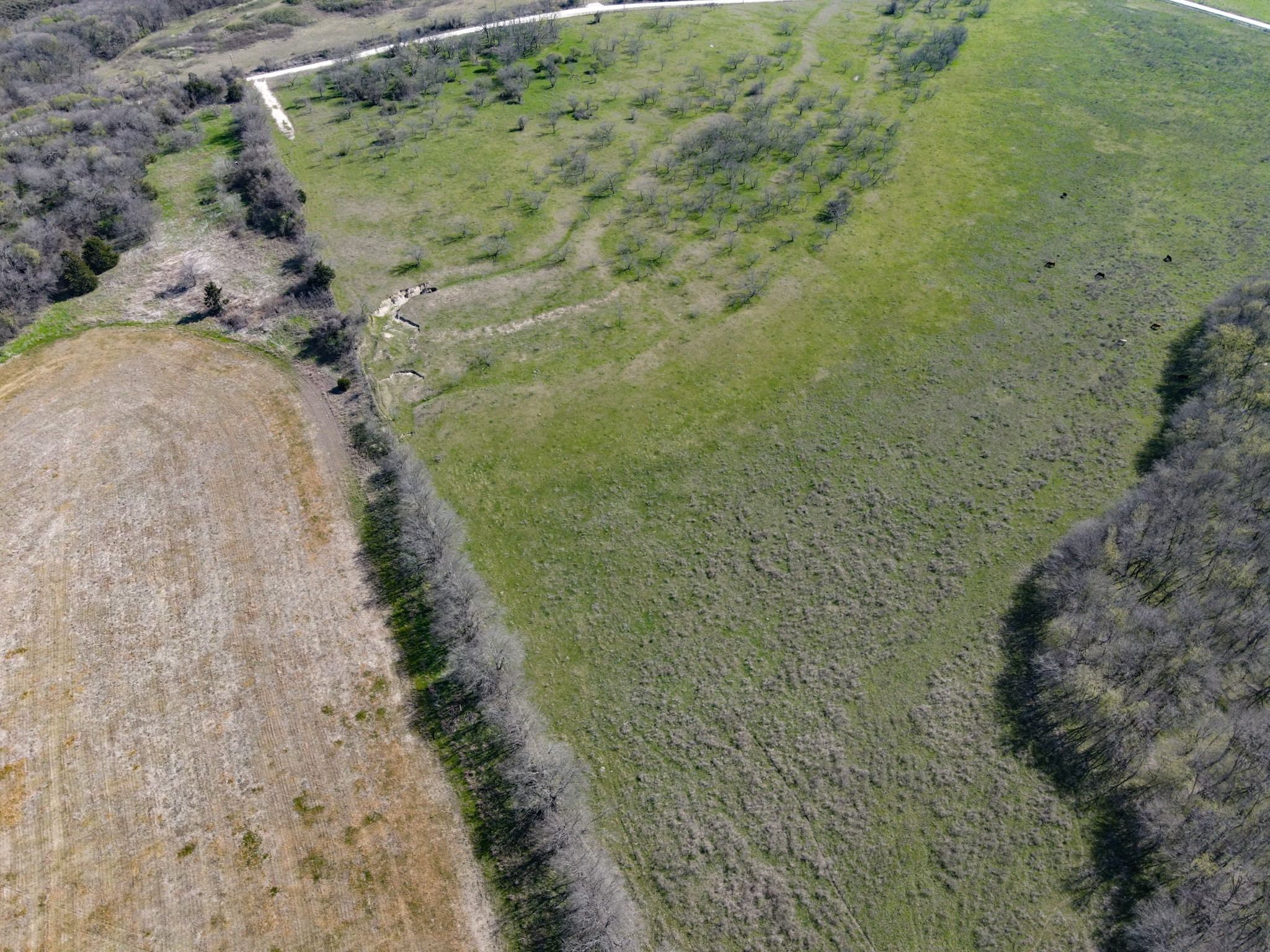 647 Hcr-4411 Grandview TX 76050