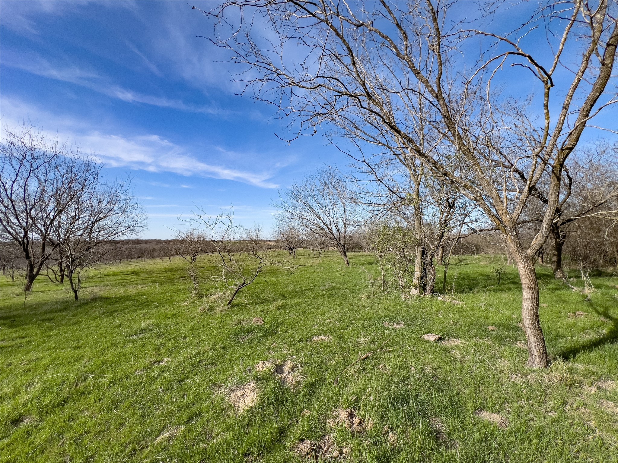 647 Hcr-4411 Grandview TX 76050