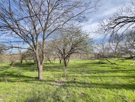 647 Hcr-4411 Grandview TX 76050