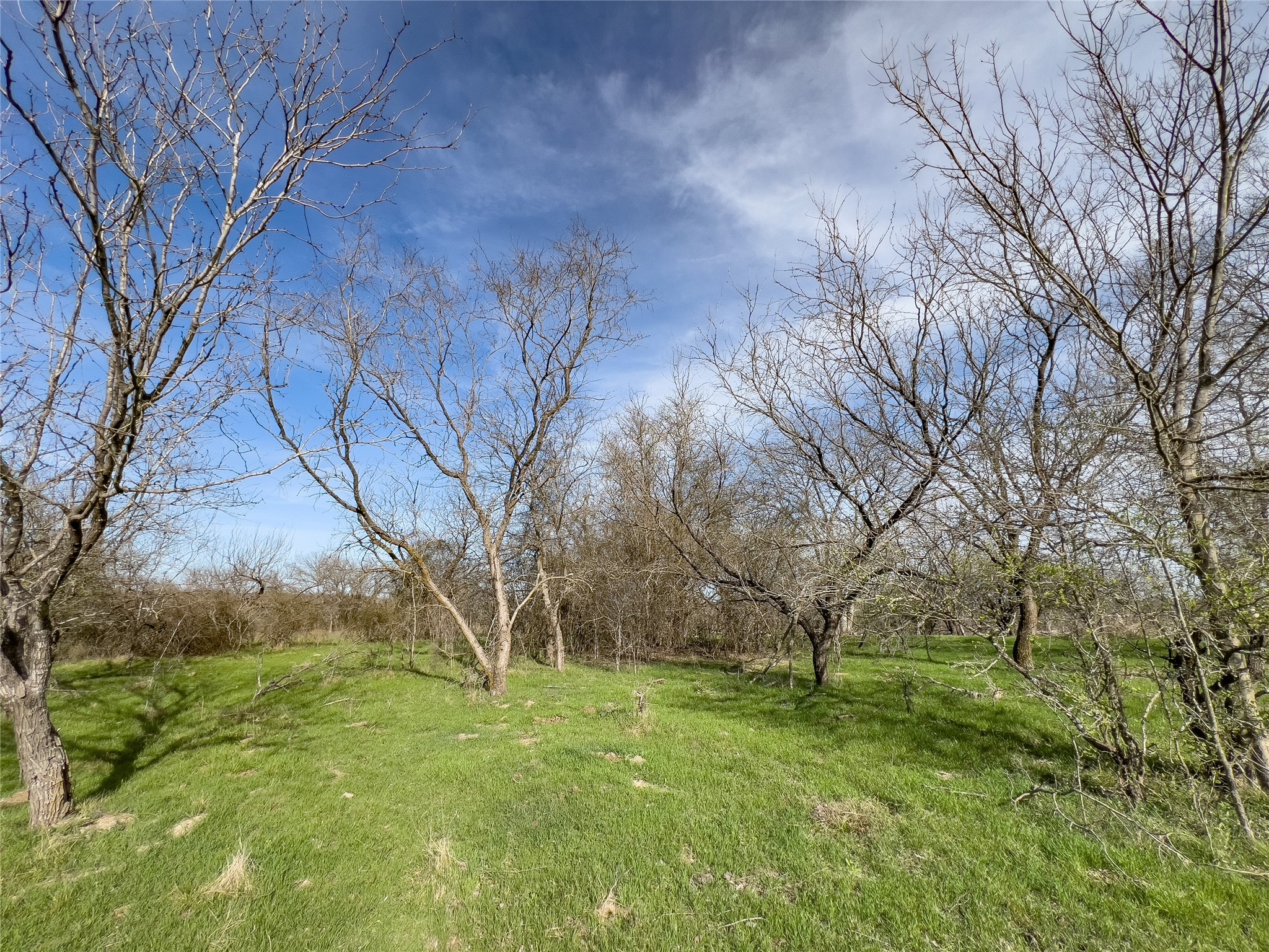 647 Hcr-4411 Grandview TX 76050