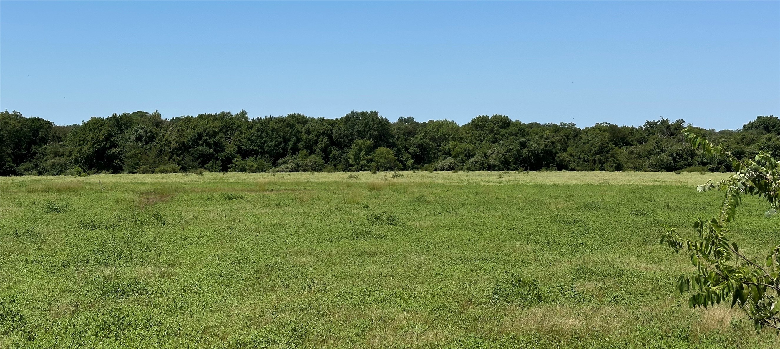 8401 County Road 305 Grandview TX 76050
