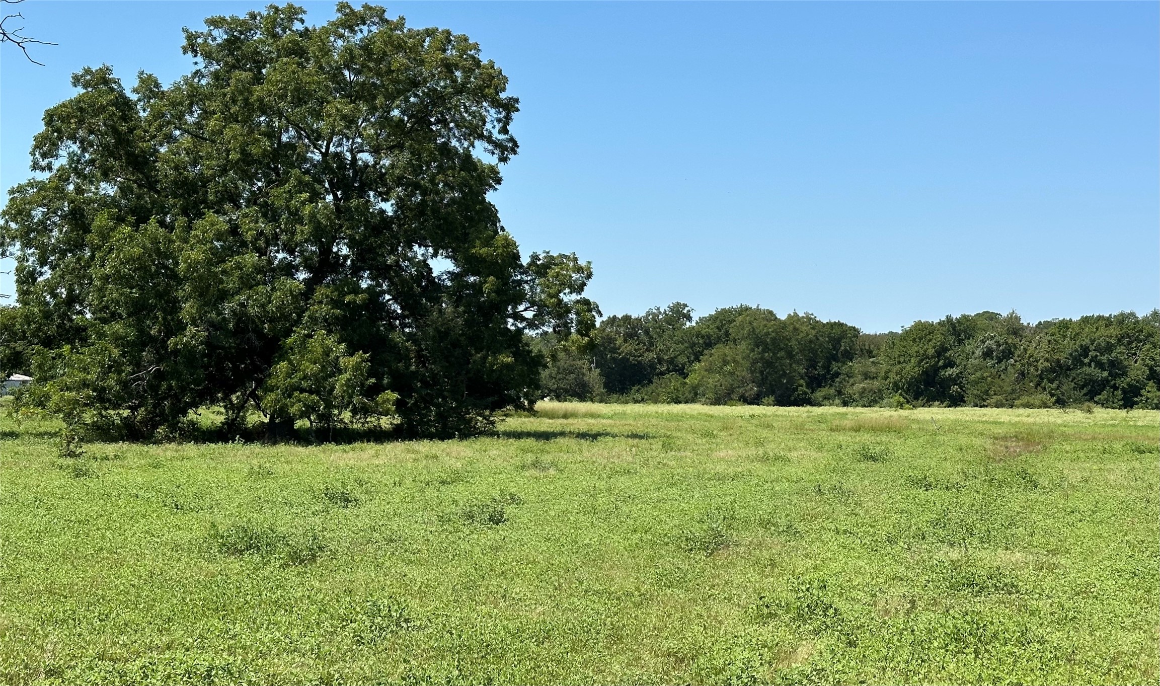 8401 County Road 305 Grandview TX 76050