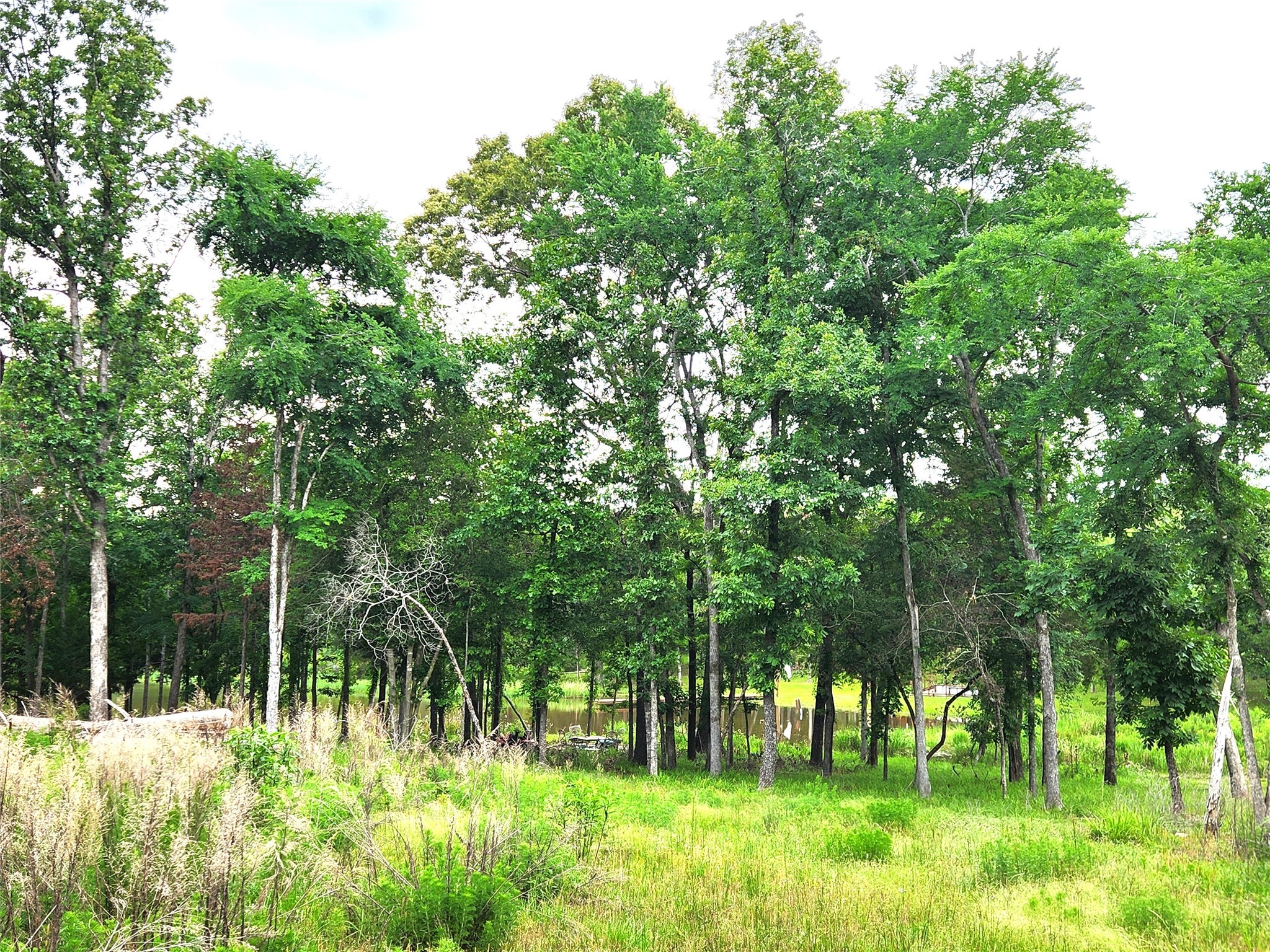 9042 Safari Bluff Larue TX 75770