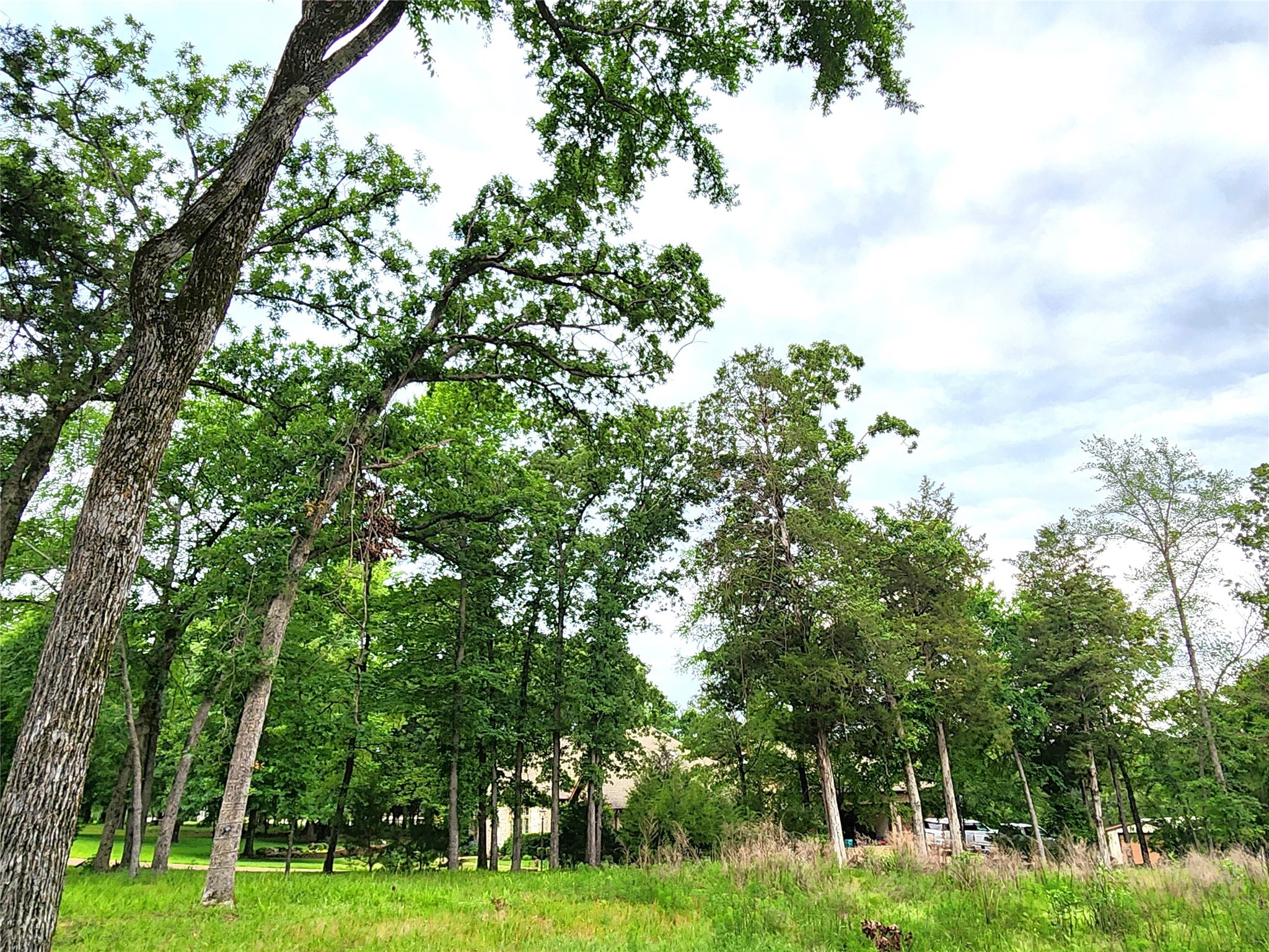 9042 Safari Bluff Larue TX 75770