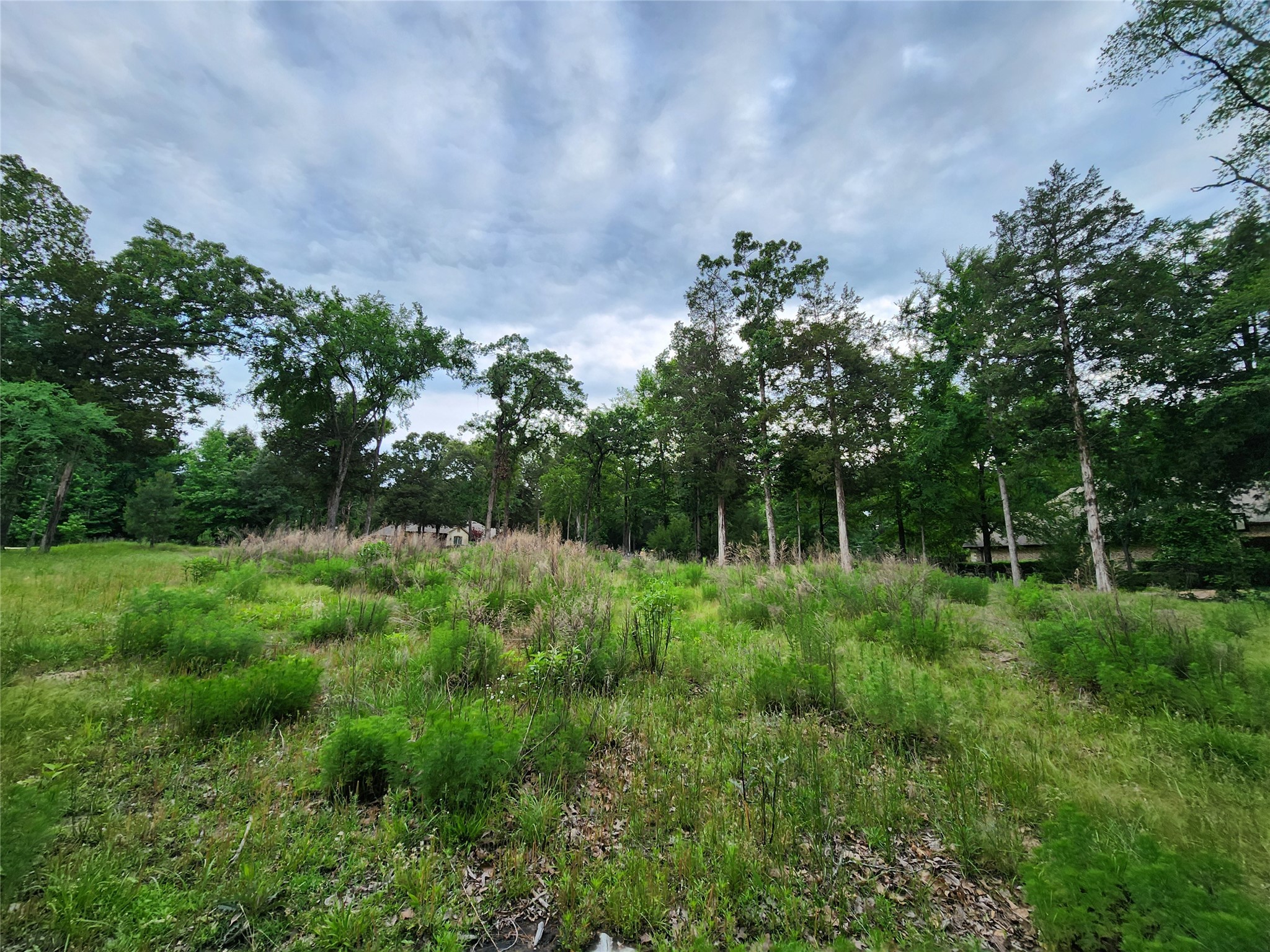 9042 Safari Bluff Larue TX 75770