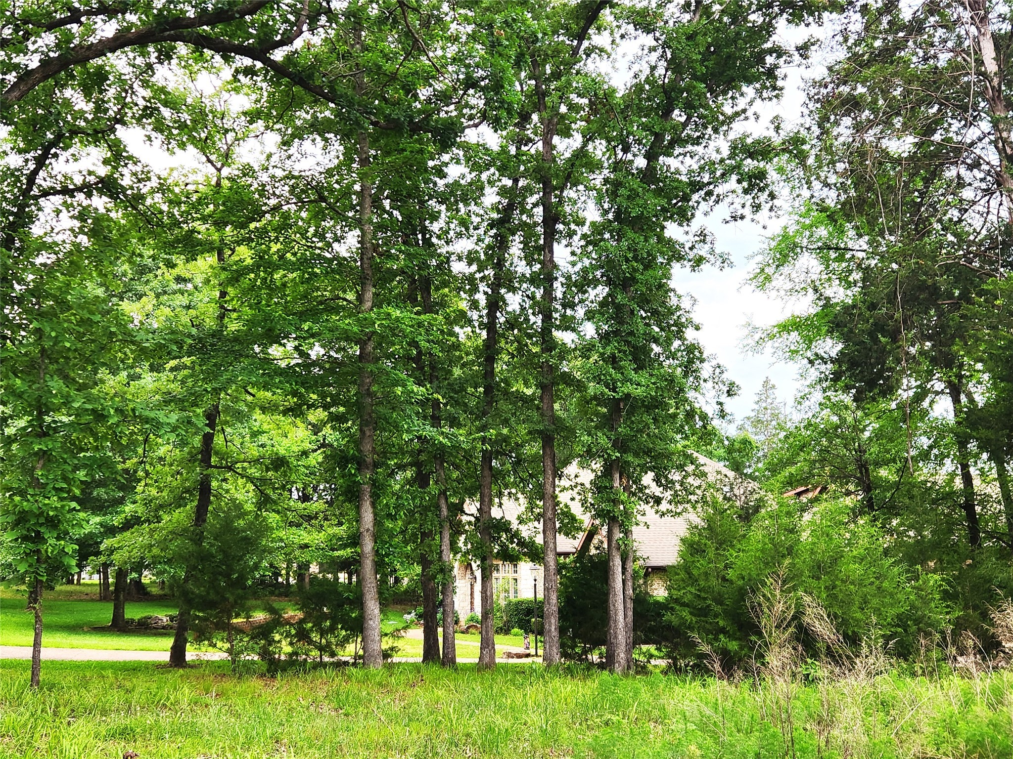 9042 Safari Bluff Larue TX 75770