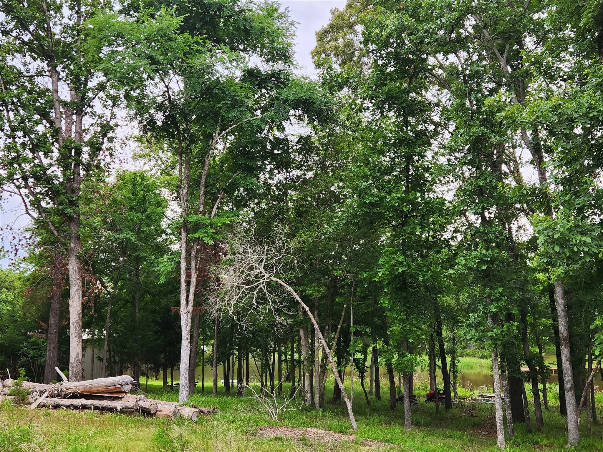 9042 Safari Bluff Larue TX 75770
