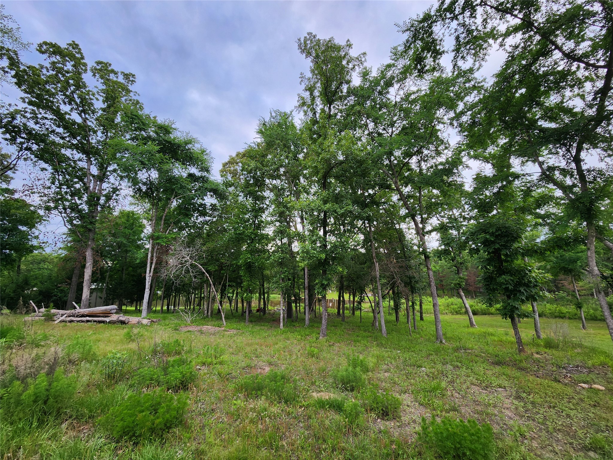9042 Safari Bluff Larue TX 75770