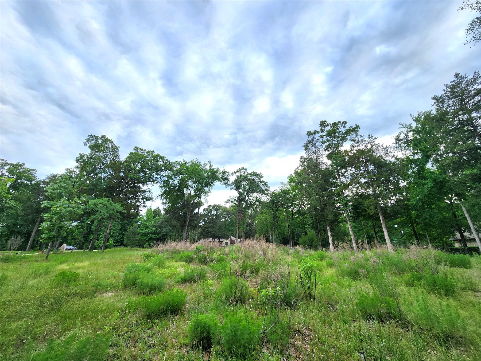 9042 Safari Bluff Larue TX 75770