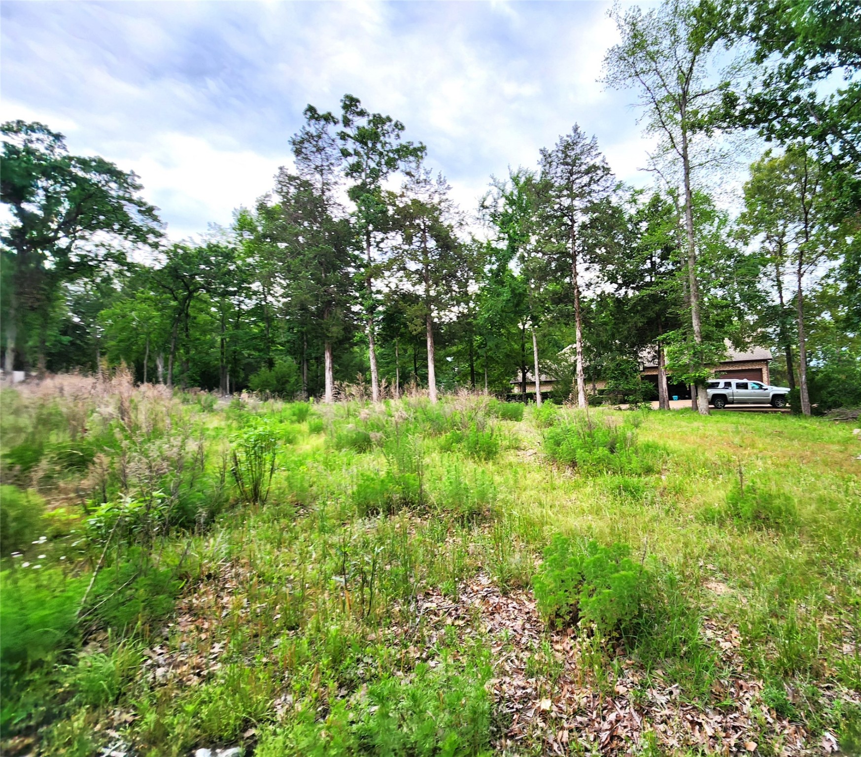 9042 Safari Bluff Larue TX 75770
