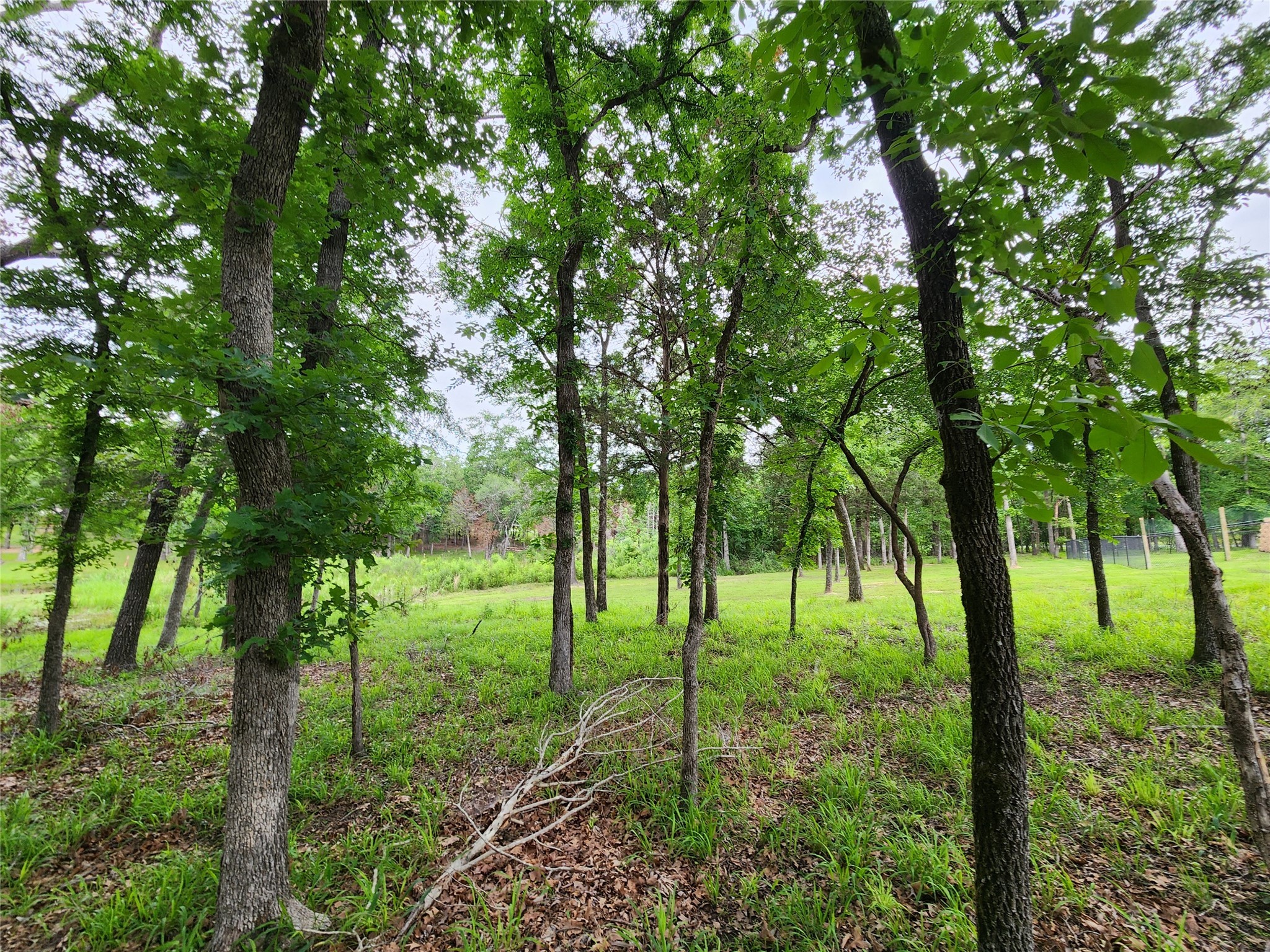 9042 Safari Bluff Larue TX 75770