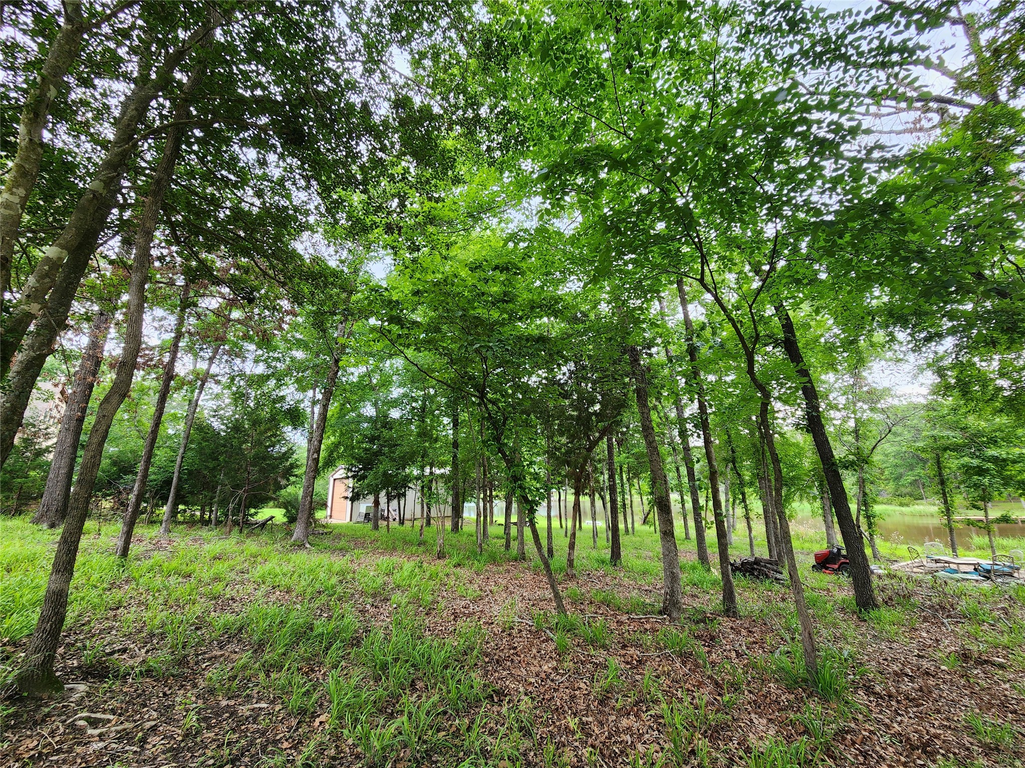 9042 Safari Bluff Larue TX 75770