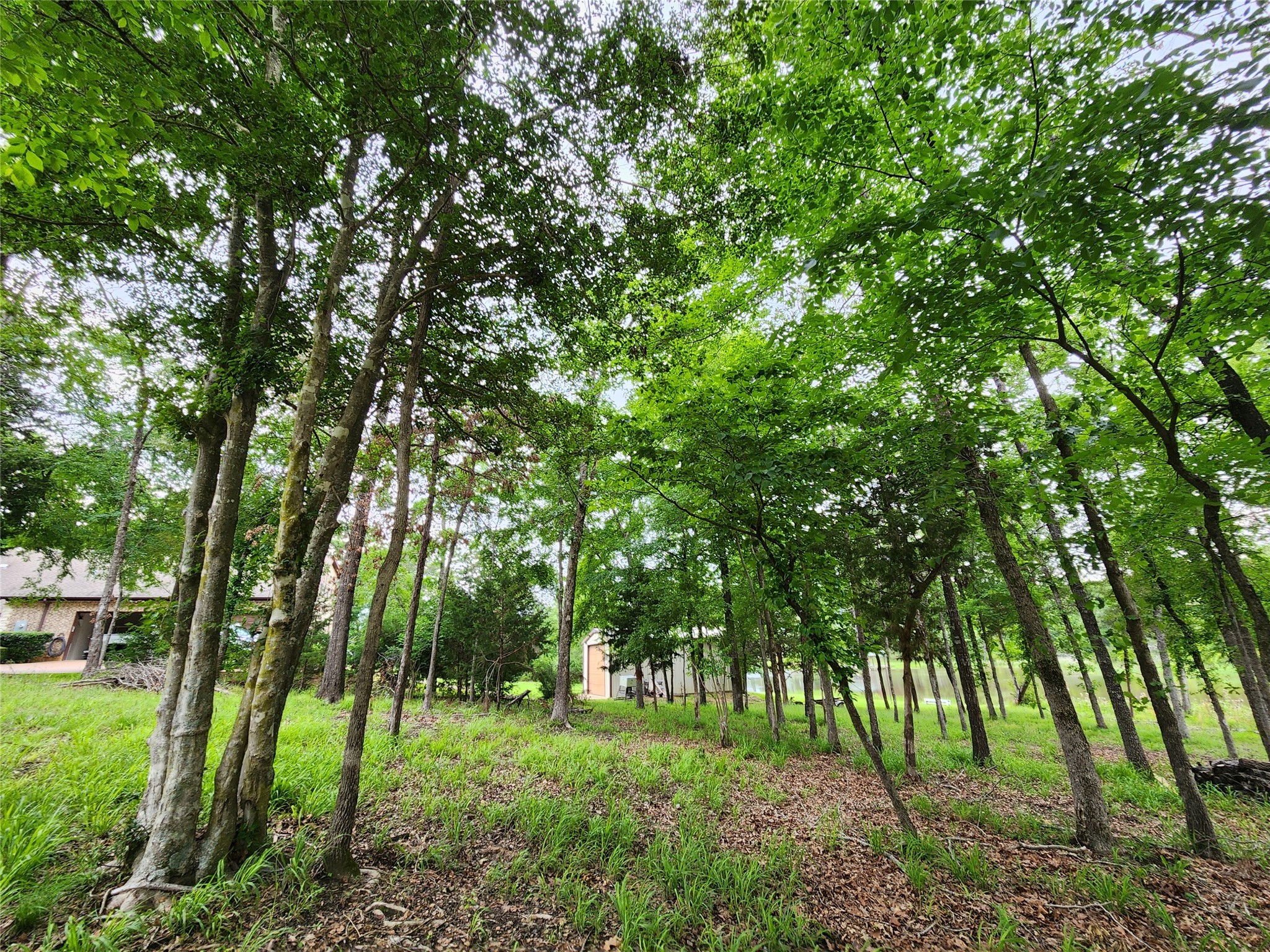 9042 Safari Bluff Larue TX 75770