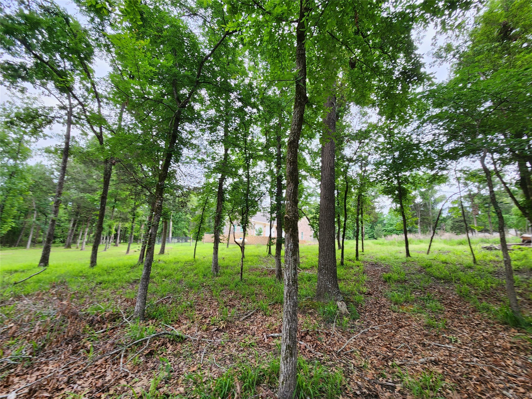 9042 Safari Bluff Larue TX 75770