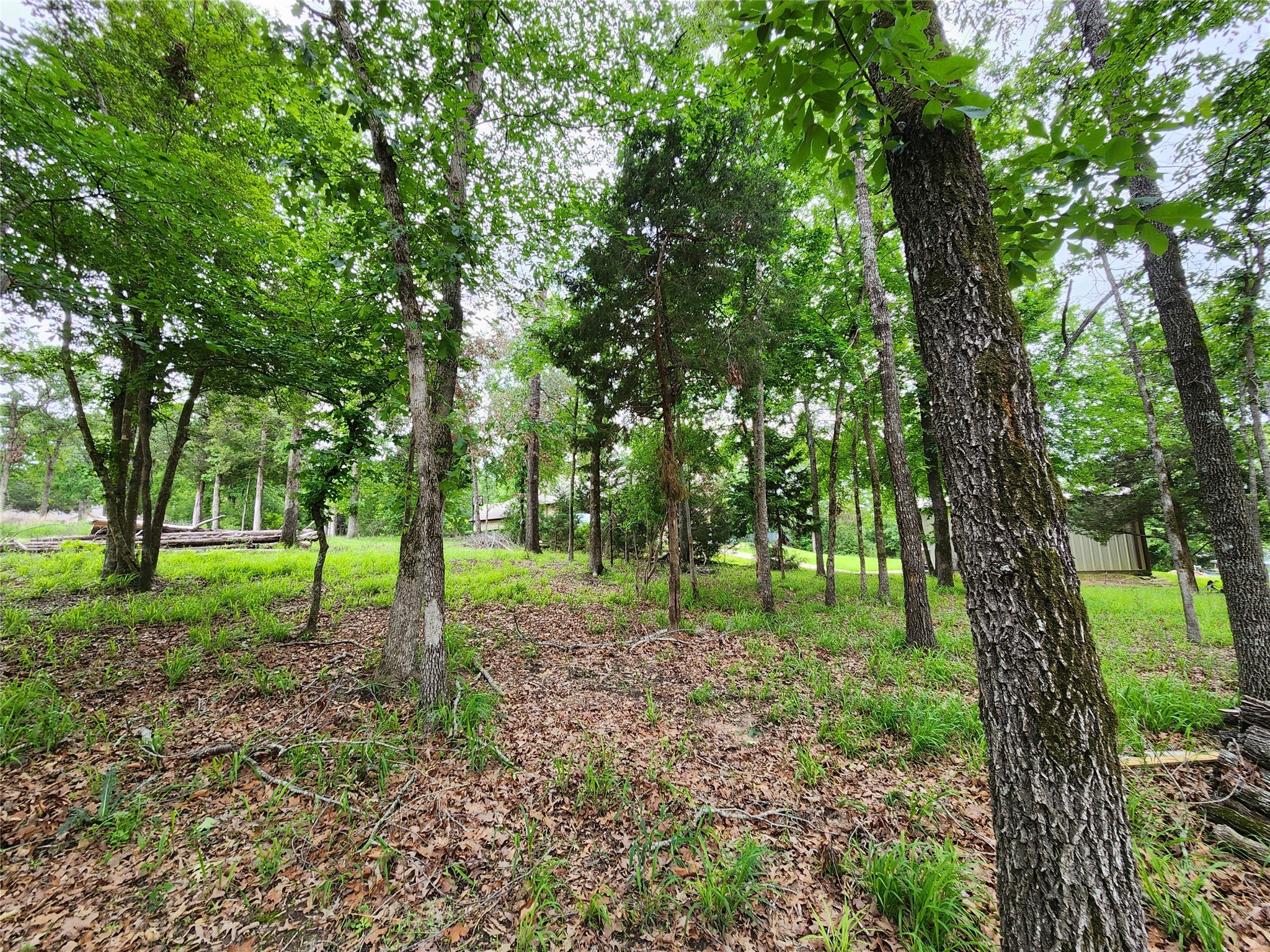 9042 Safari Bluff Larue TX 75770