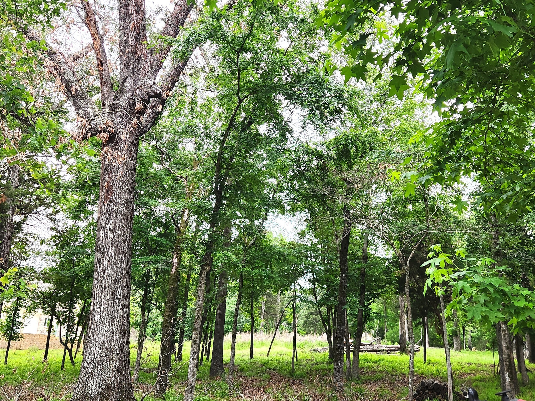 9042 Safari Bluff Larue TX 75770