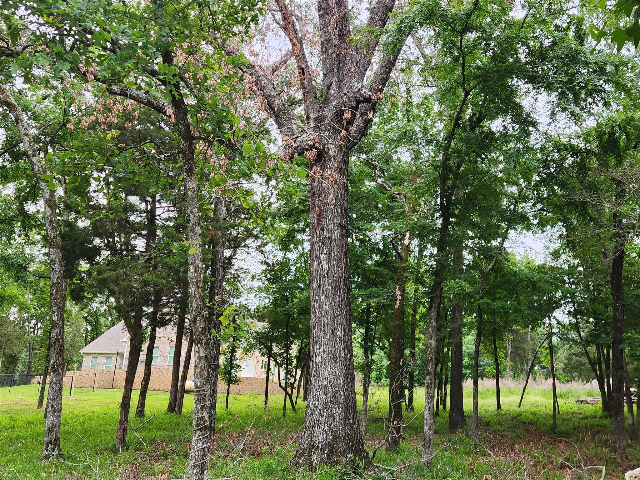 9042 Safari Bluff Larue TX 75770