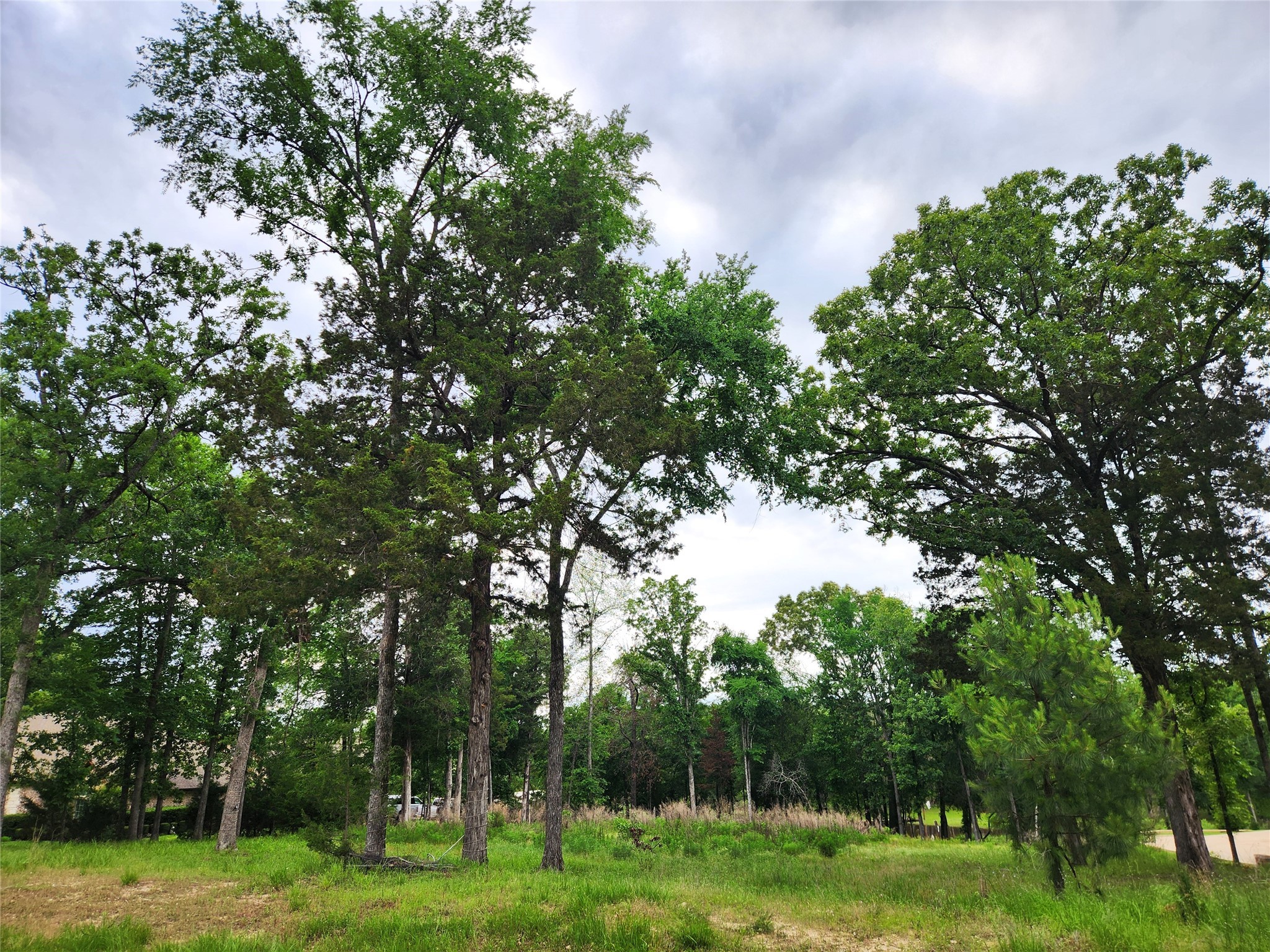 9042 Safari Bluff Larue TX 75770