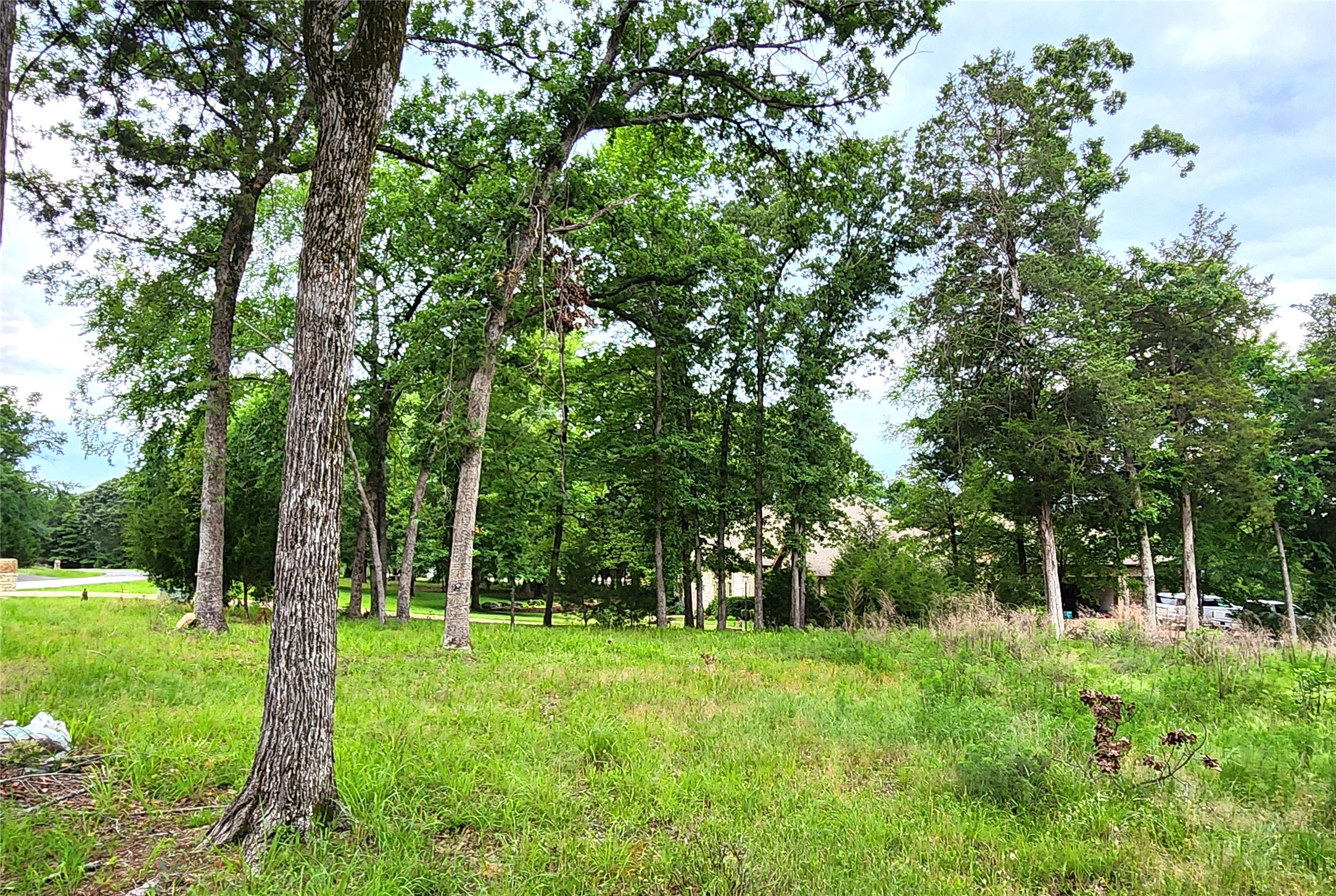 9042 Safari Bluff Larue TX 75770