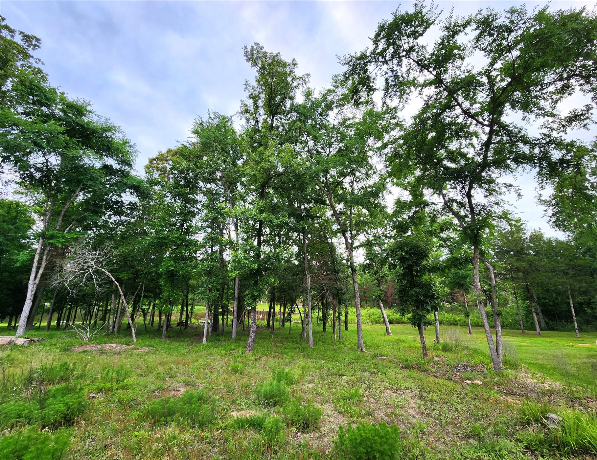 9042 Safari Bluff Larue TX 75770