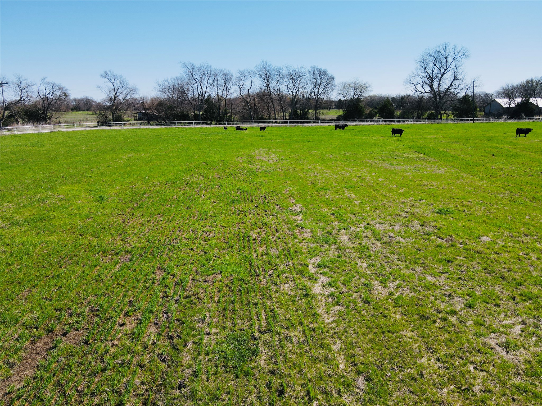 880 County Road 4210 Bonham TX 75418