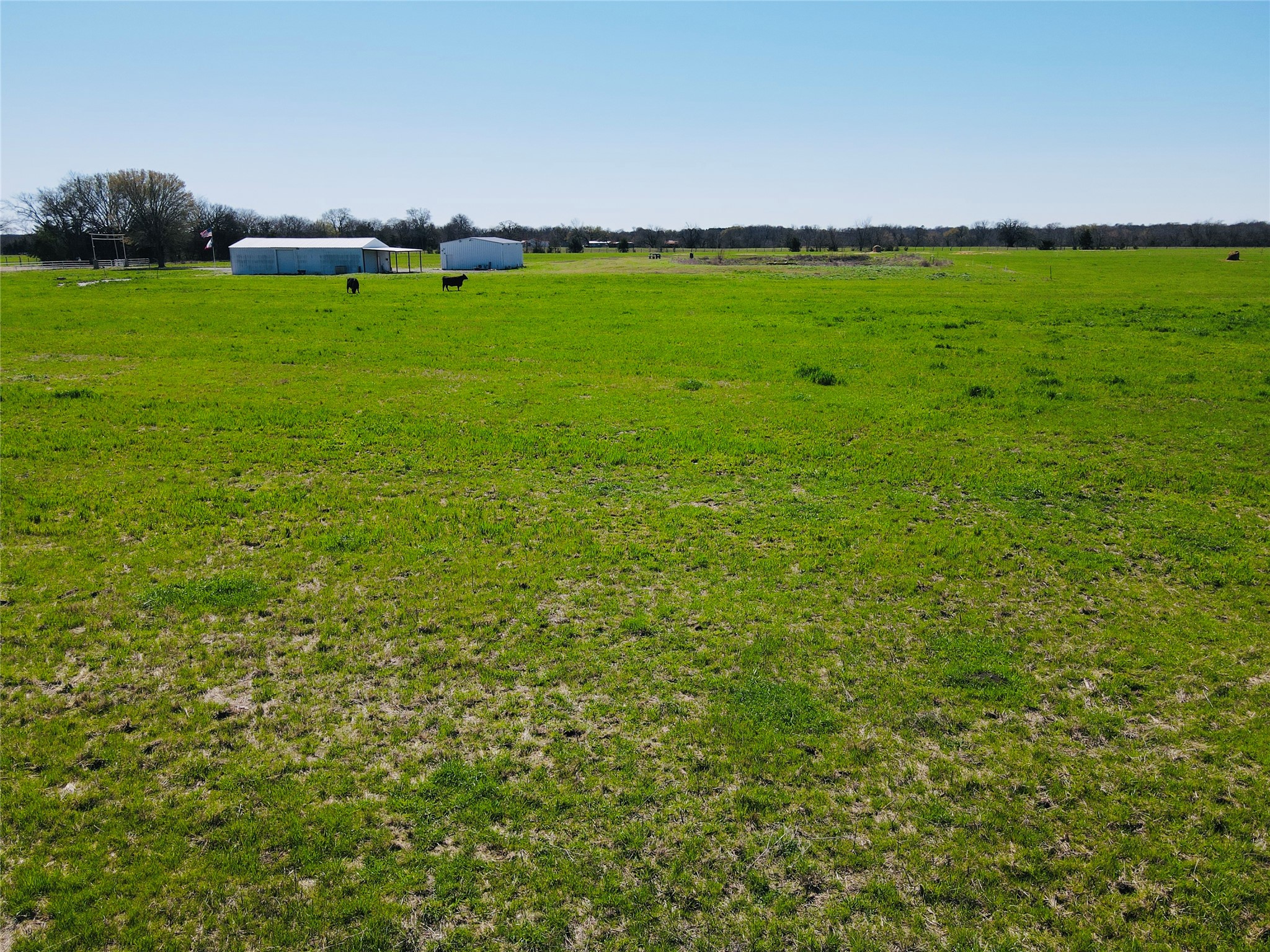 880 County Road 4210 Bonham TX 75418
