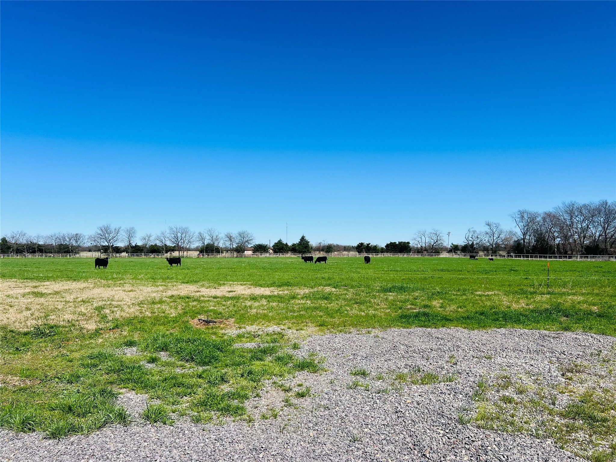 880 County Road 4210 Bonham TX 75418
