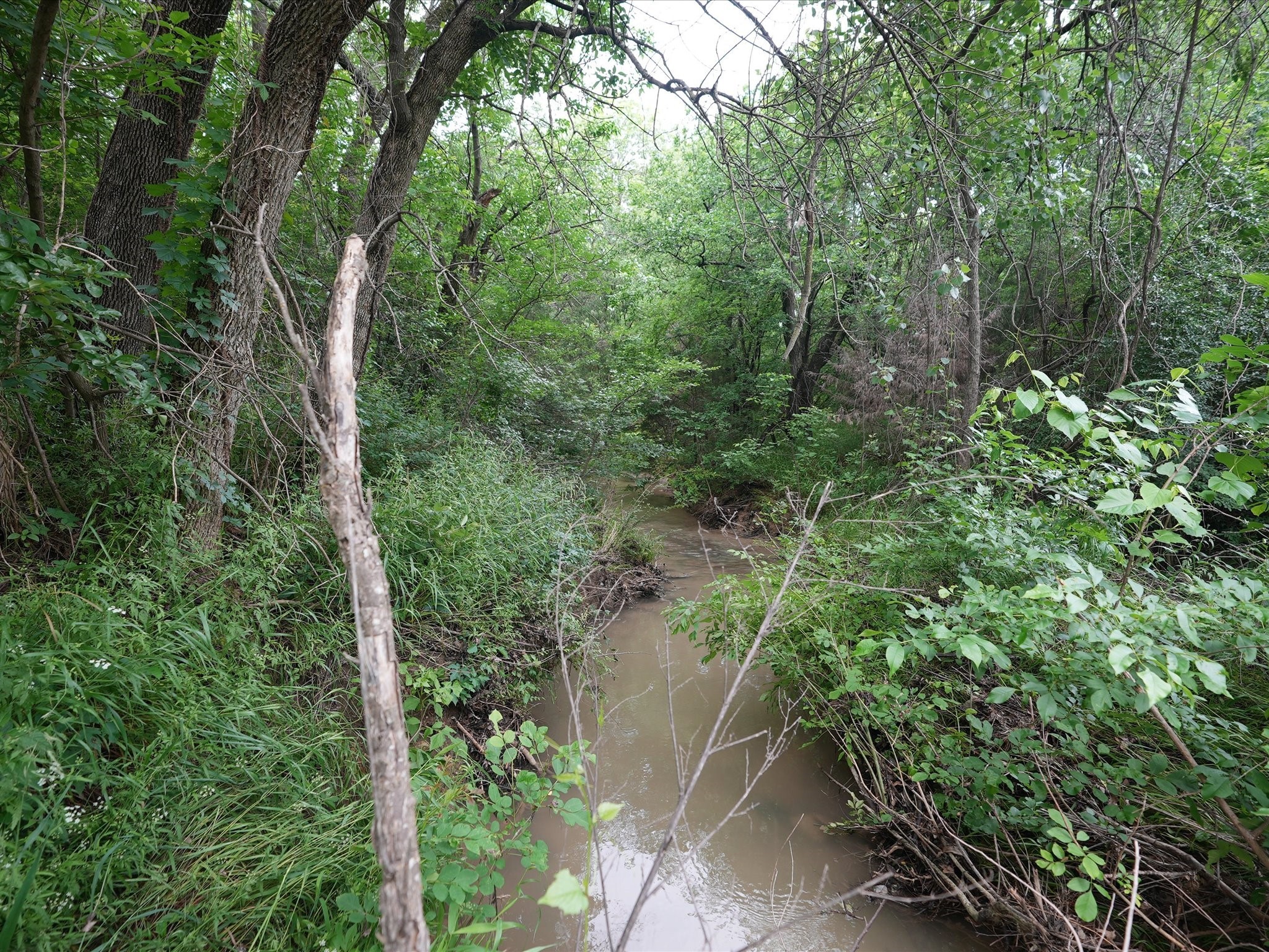 2603 Creekwood Drive Cedar Hill TX 75104