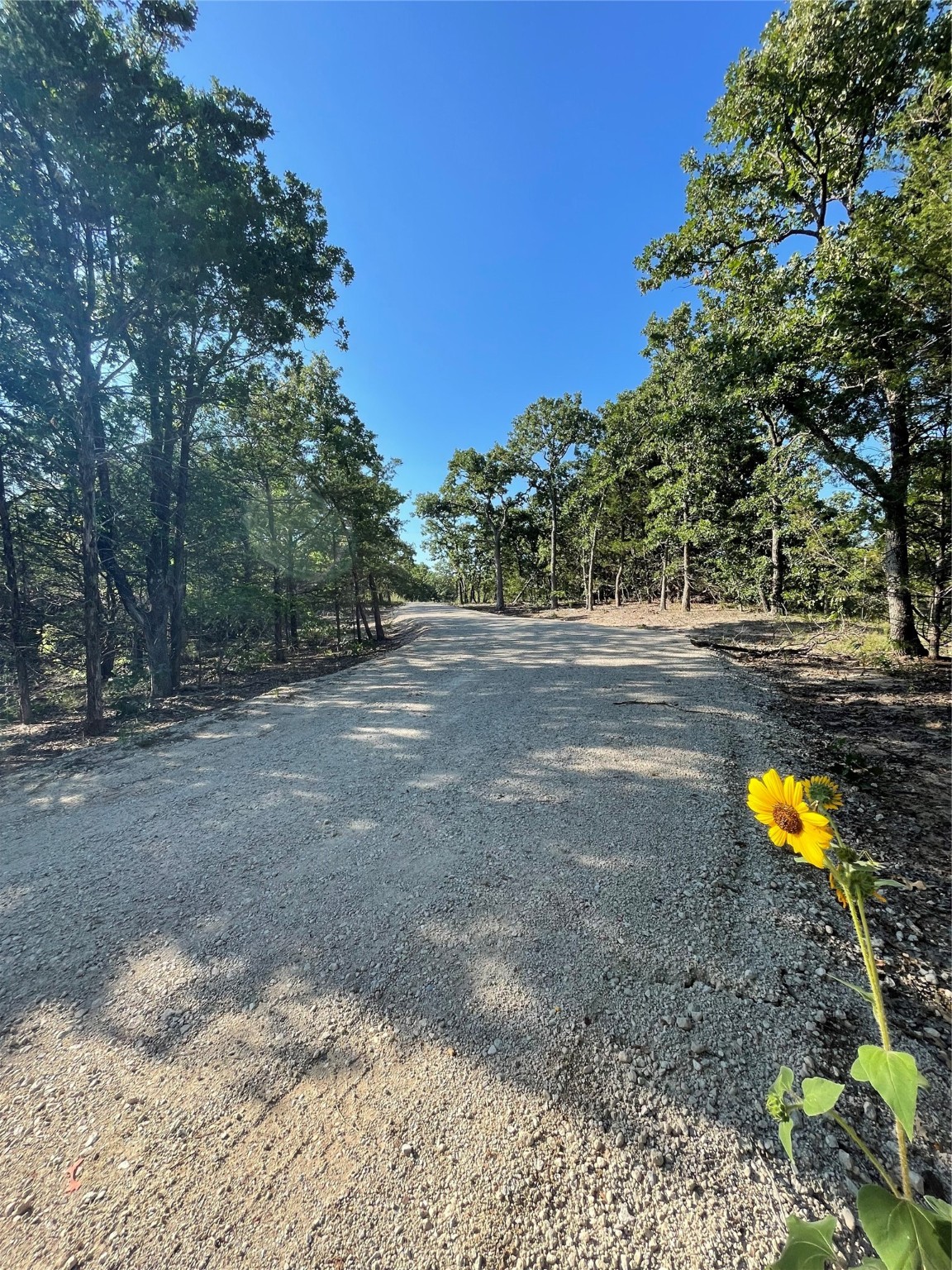 208 Red Top Road Valley View TX 76272