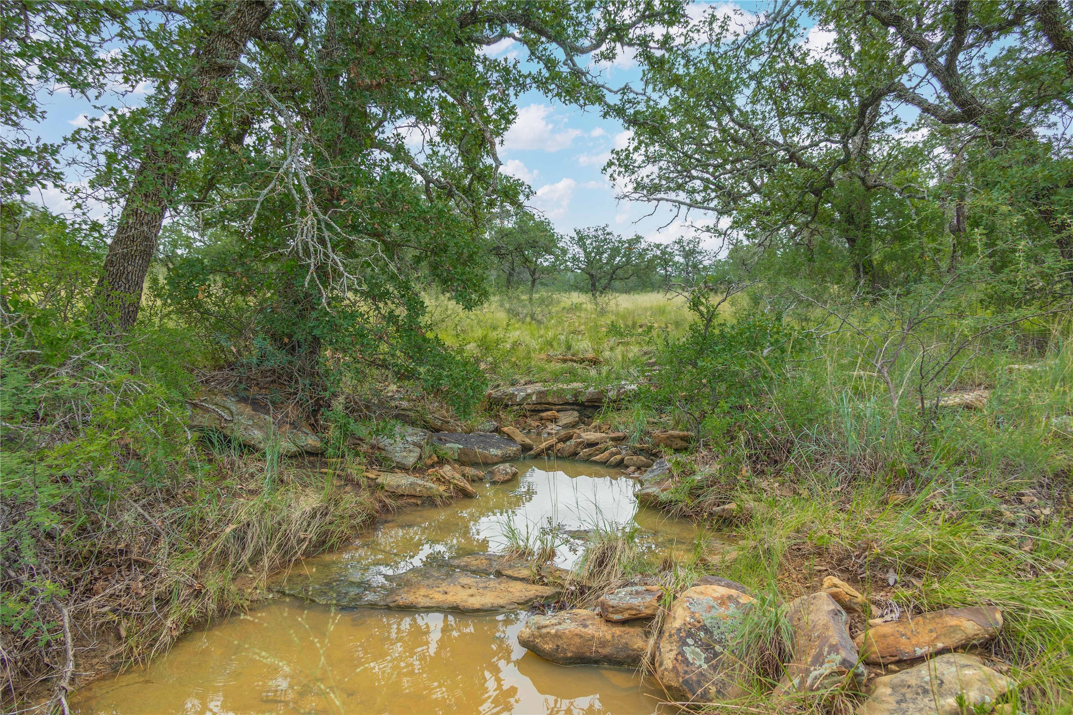 11814 County Road 266 Richland Springs TX 76871