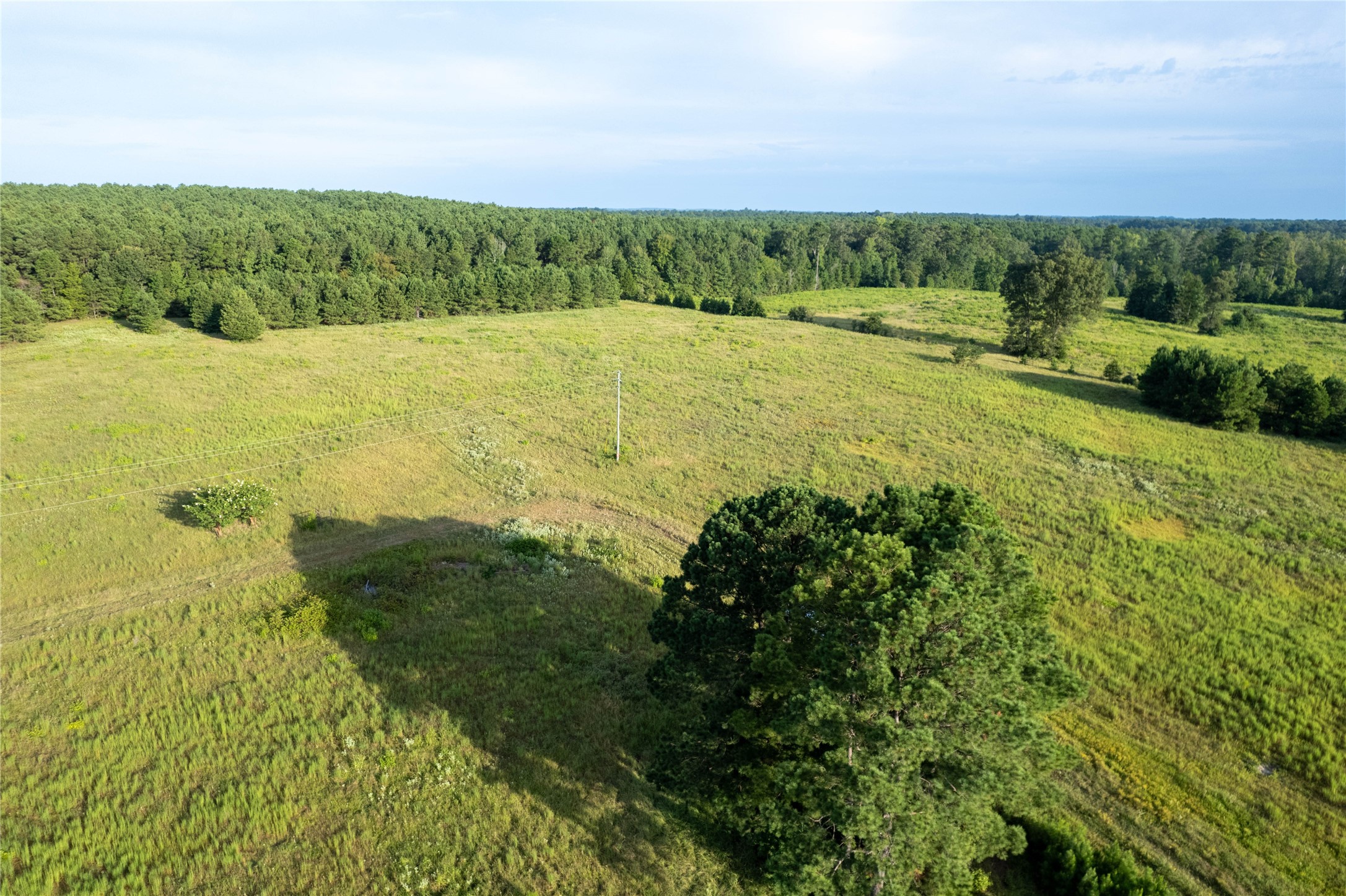 Lake Country (Lot 15) Tx-77 Atlanta TX 75551