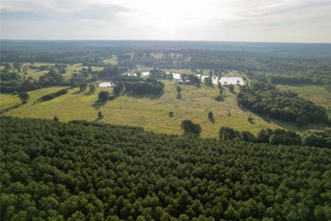 Lake Country (Lot 15) Tx-77 Atlanta TX 75551