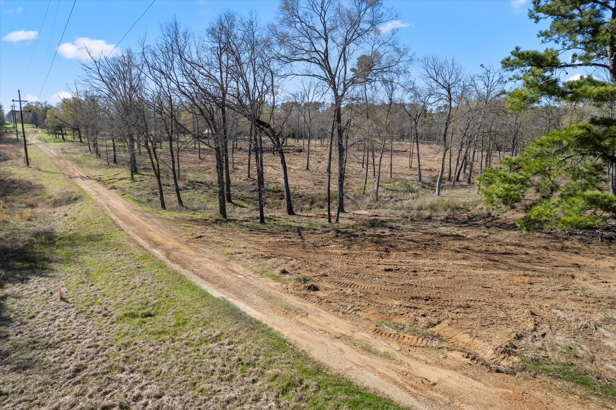 7050 Fm 115 Scroggins TX 75480