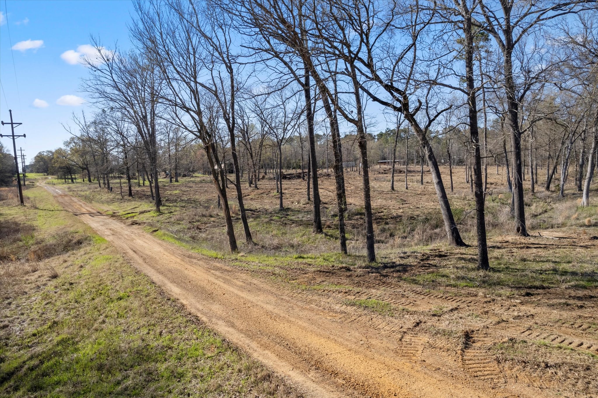 7050 Fm 115 Scroggins TX 75480