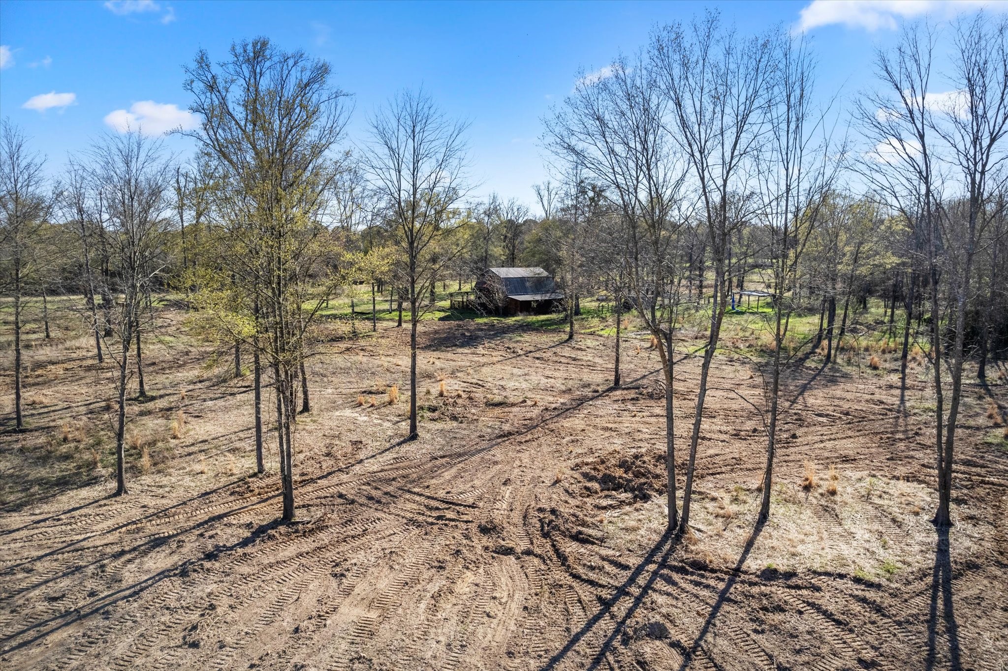 7050 Fm 115 Scroggins TX 75480