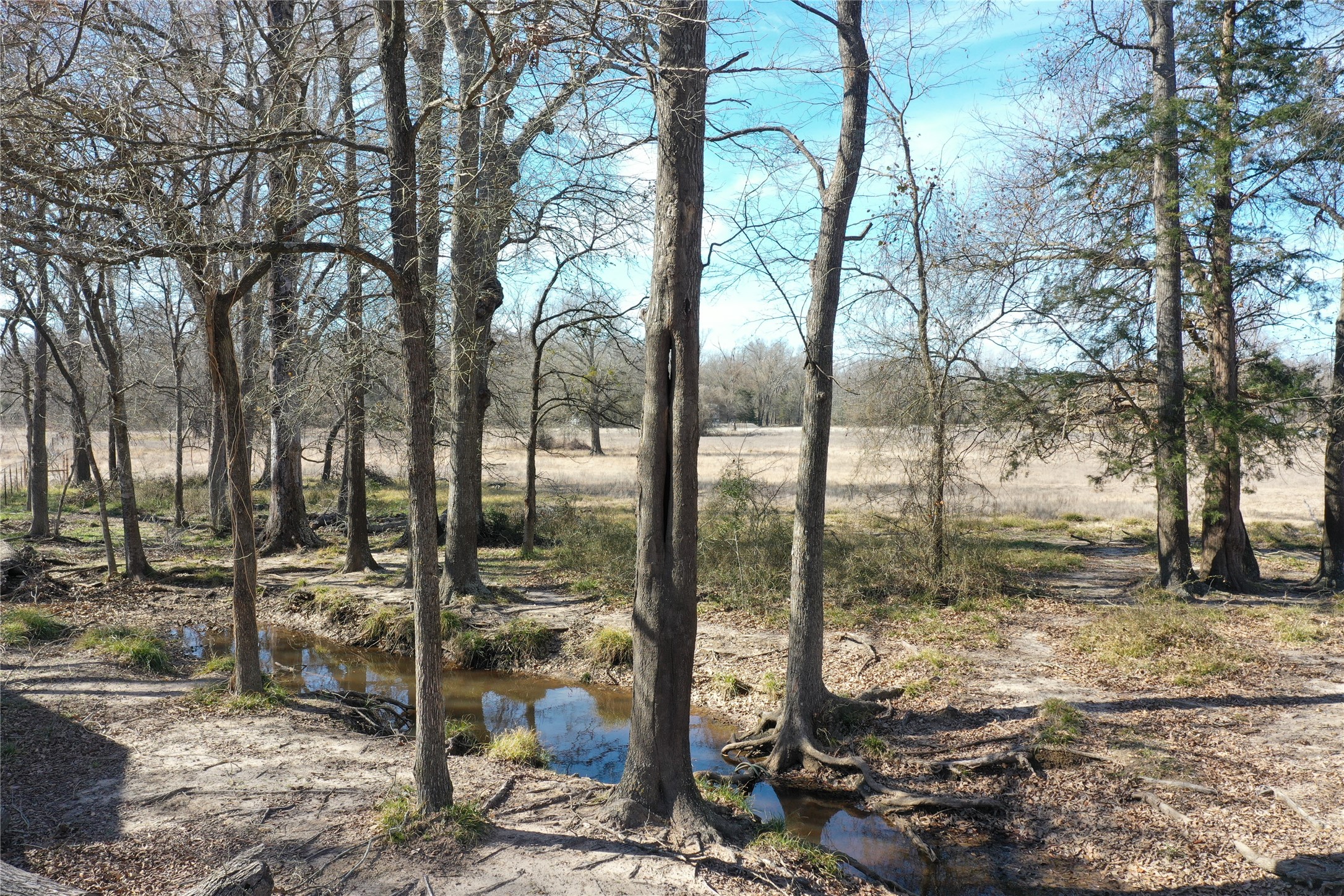 130 Fcr 505 Fairfield TX 75840