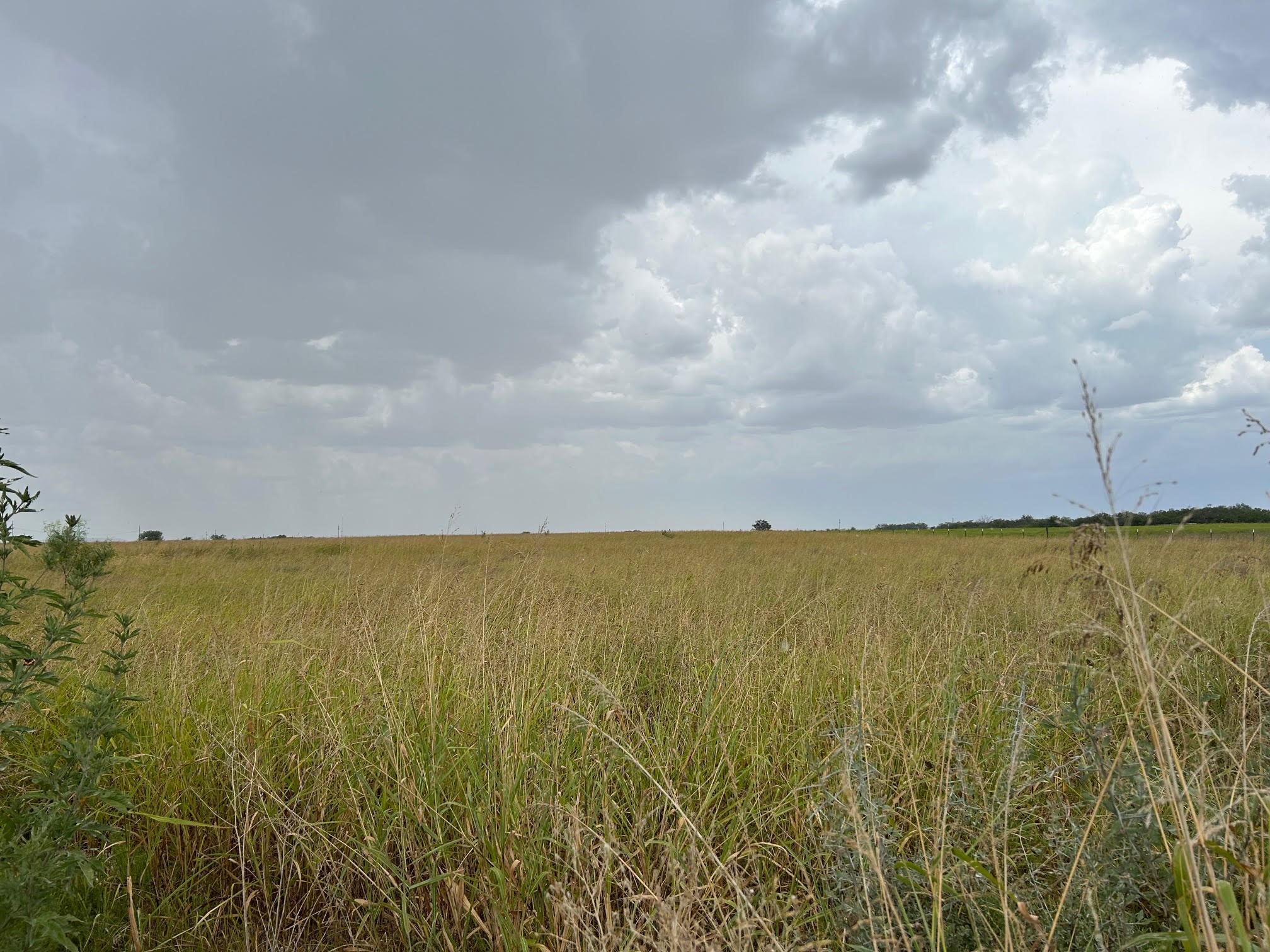 5805 County Road 223 Clyde TX 79510
