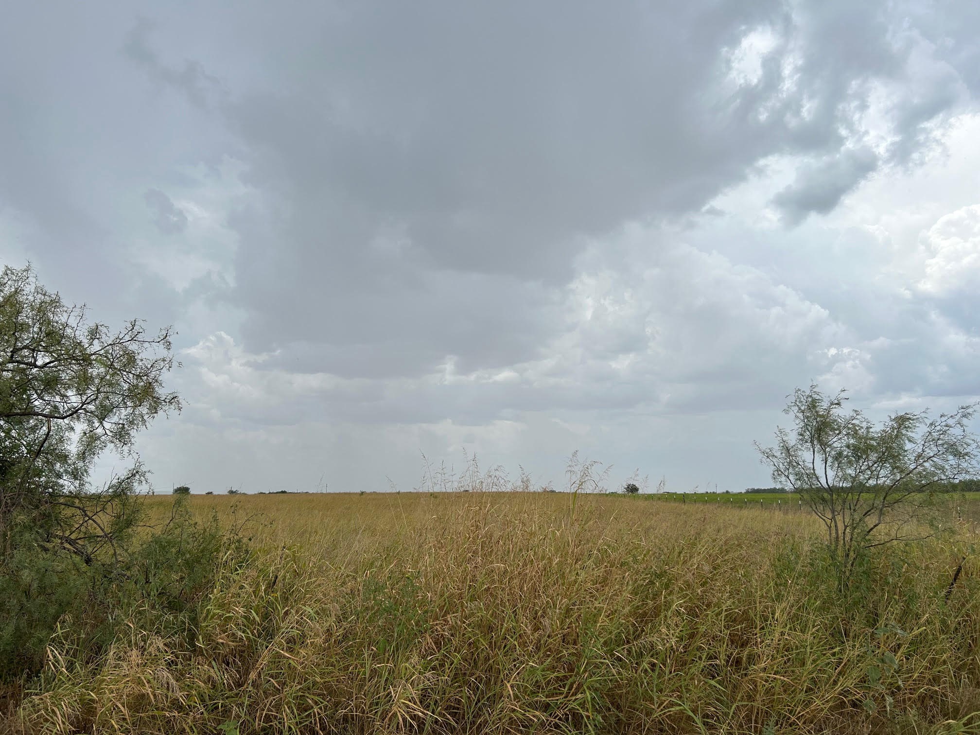5805 County Road 223 Clyde TX 79510