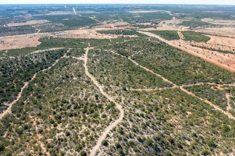 782 County Road 145 Sweetwater TX 79556