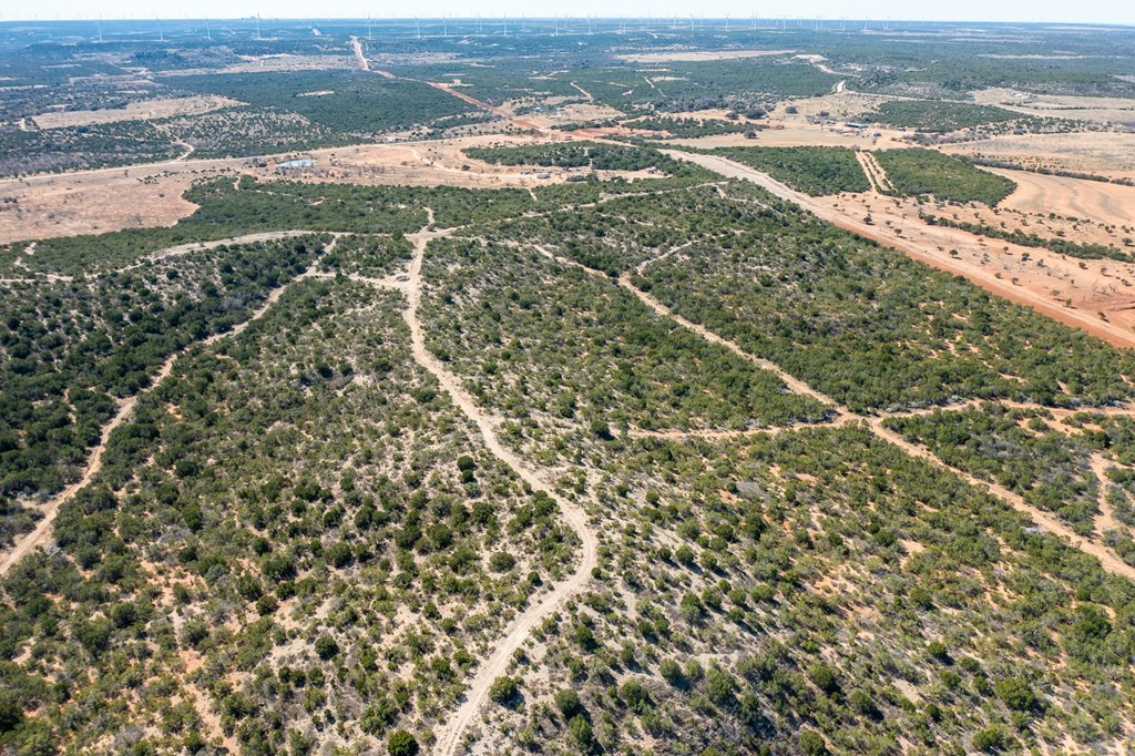 782 County Road 145 Sweetwater TX 79556